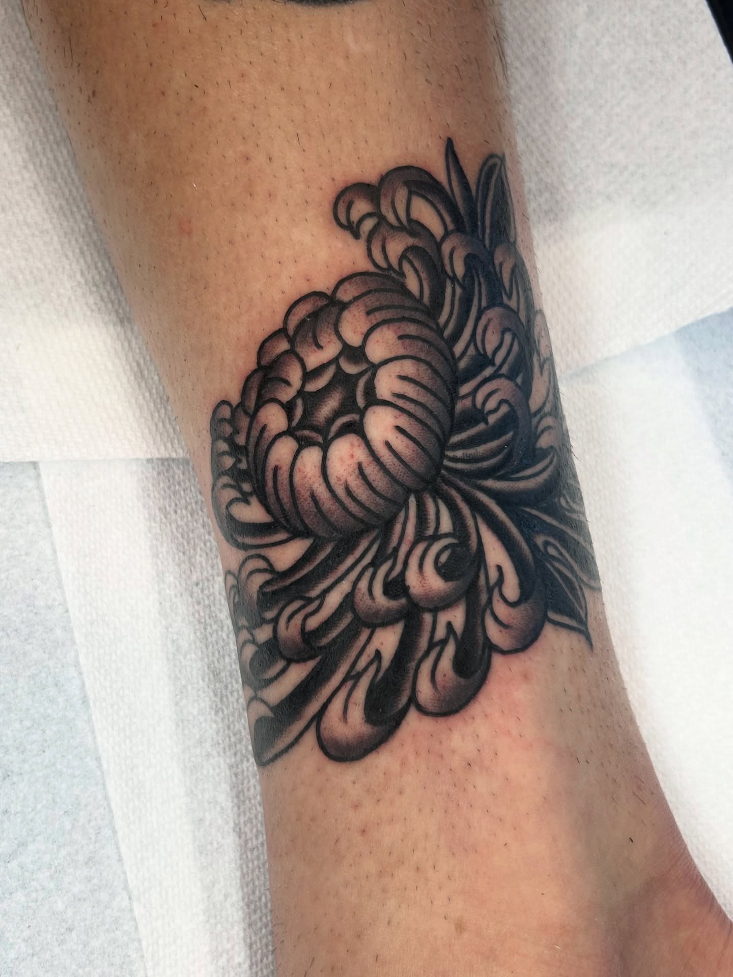 Chrysanthemum dotwork tattoo on the forearm by β π€ππ©π¦π©π’π β± β