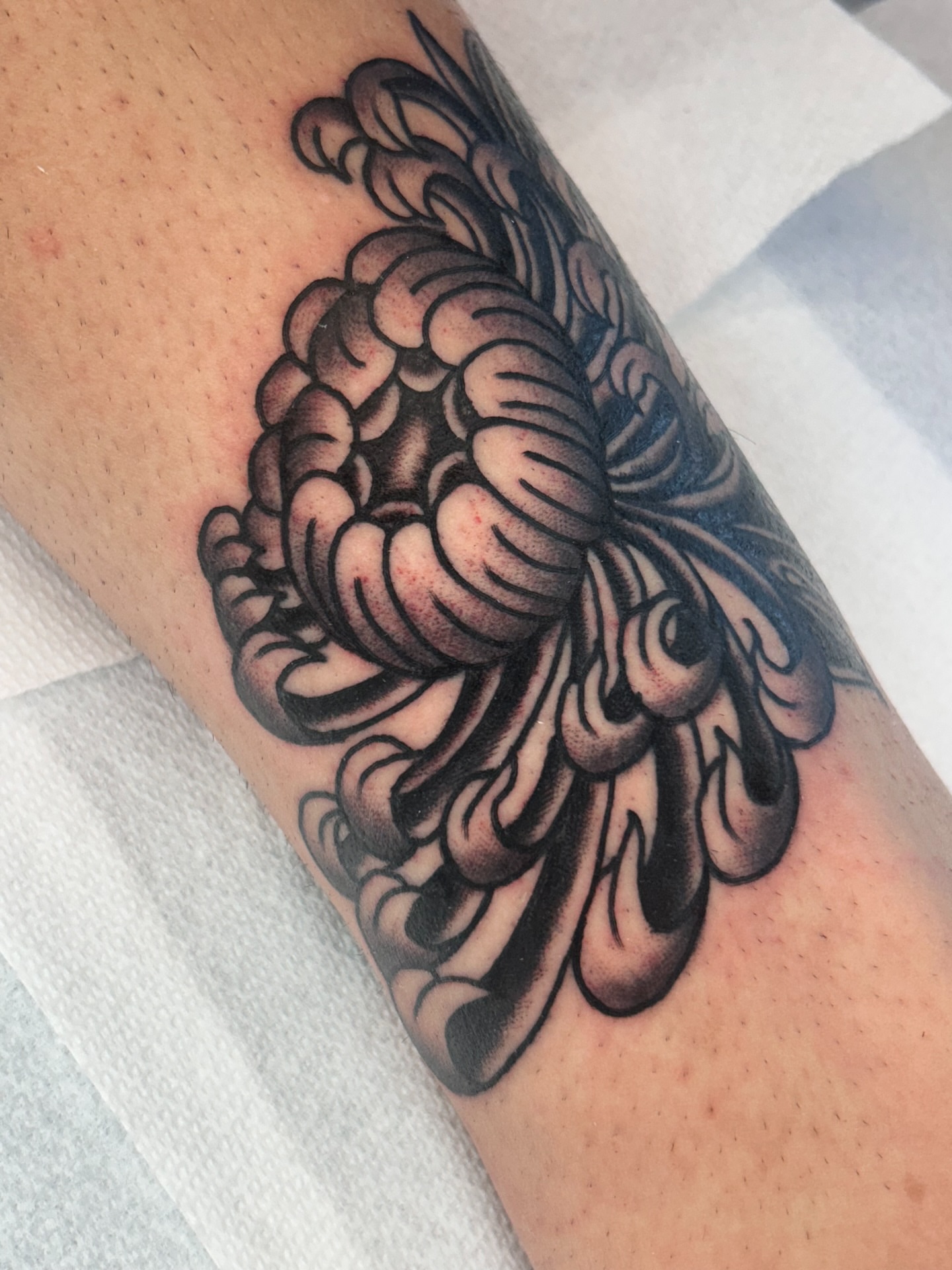 Tattoo by ⋆ 𝔤𝔞𝔩𝔦𝔩𝔢𝔞 ♱ ⋆, San Diego, CA