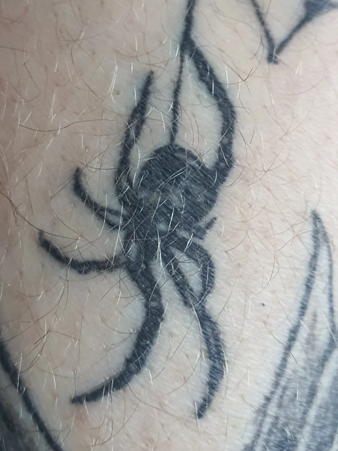 Spider black and grey tattoo on the forearm by Artful Ink
