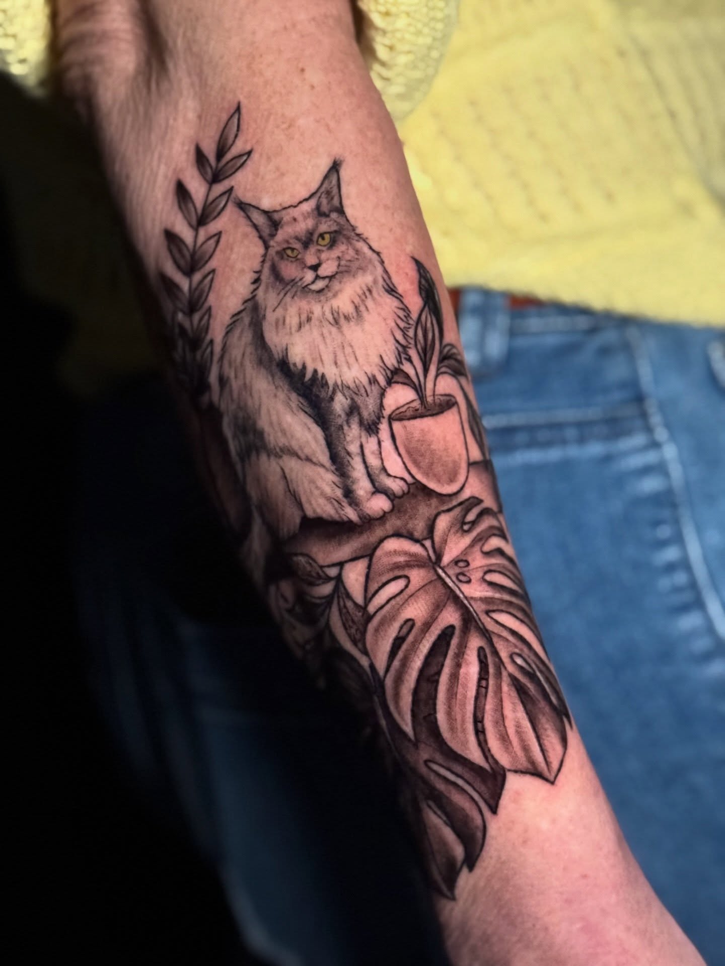 Cat realism tattoo on the forearm by Lily Bejarno