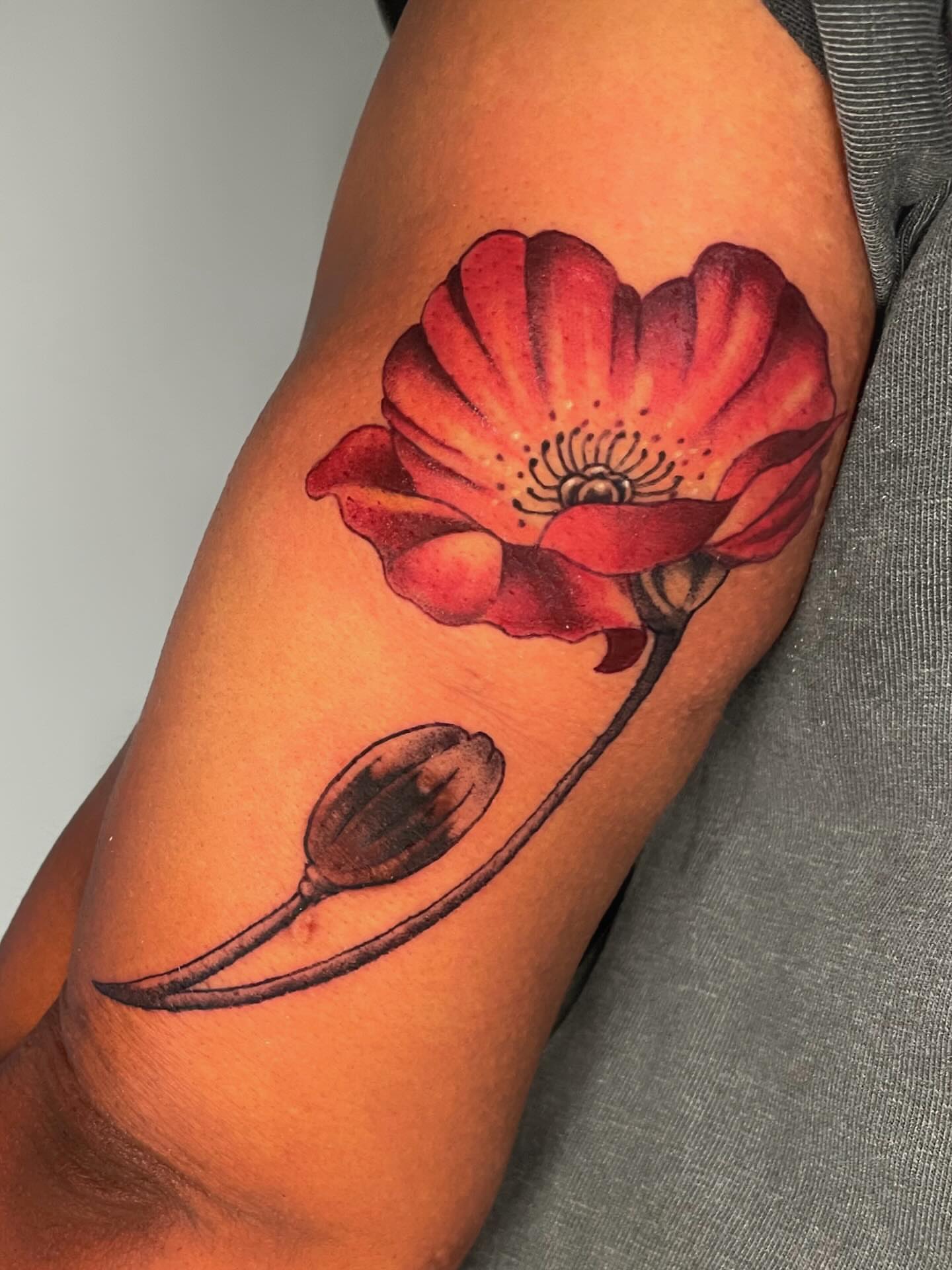Red poppy realism tattoo on the forearm by Xena