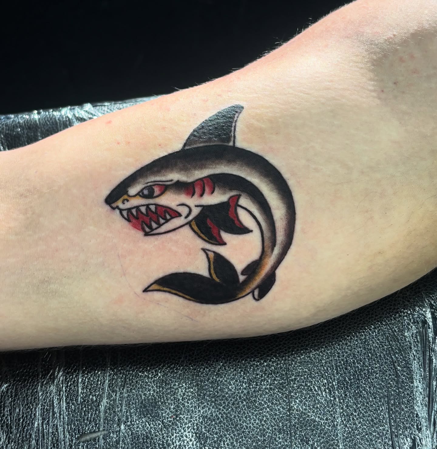 Shark American traditional tattoo on the forearm by Deacon Moser