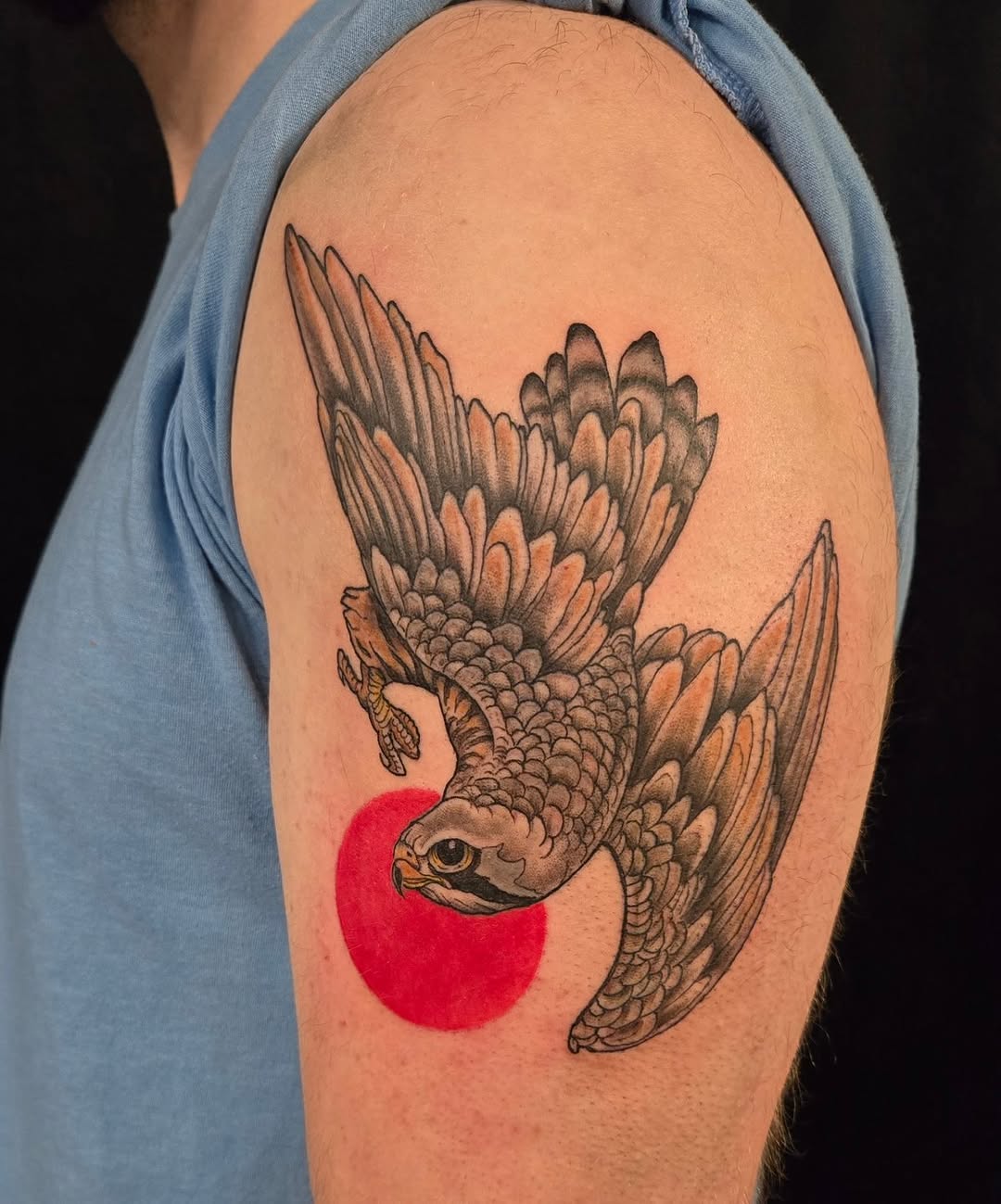 Falcon and sun fine line tattoo on the shoulder by Tim Andrews