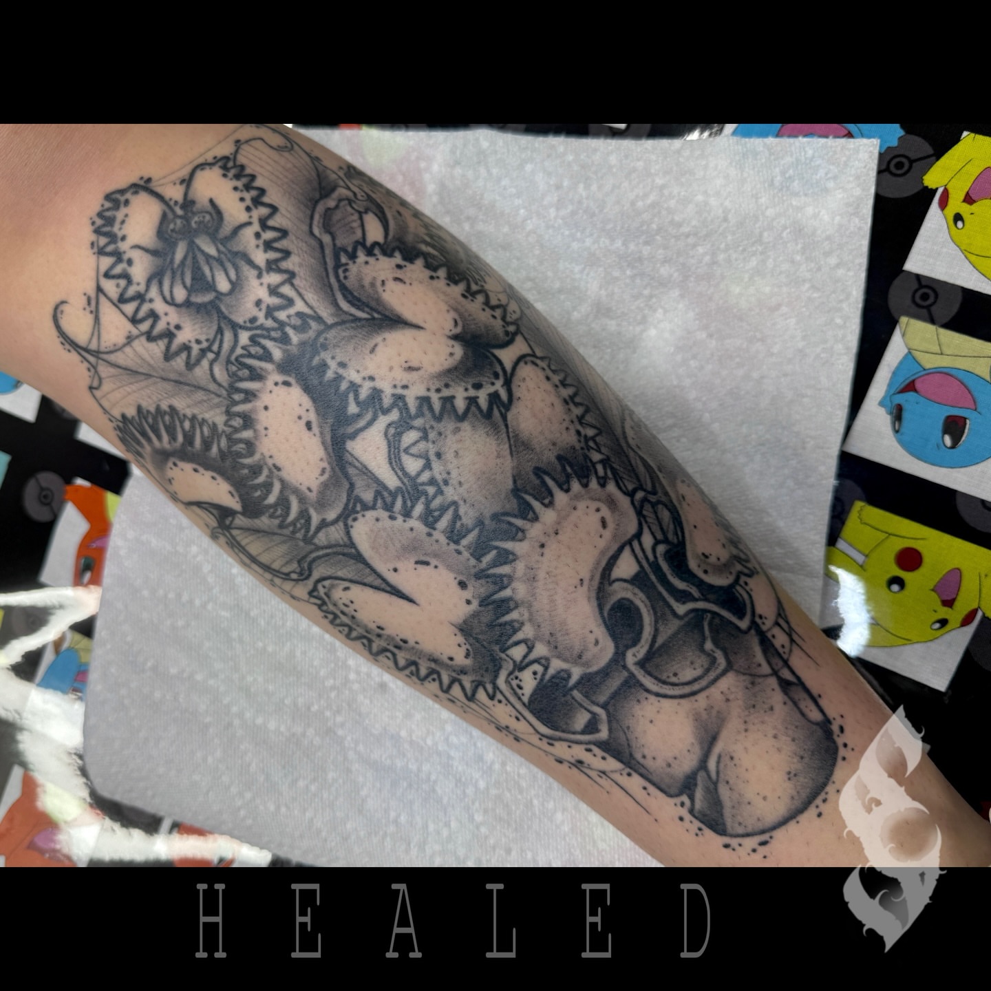 Octopus black and grey tattoo on the forearm by Amanda Stampfly