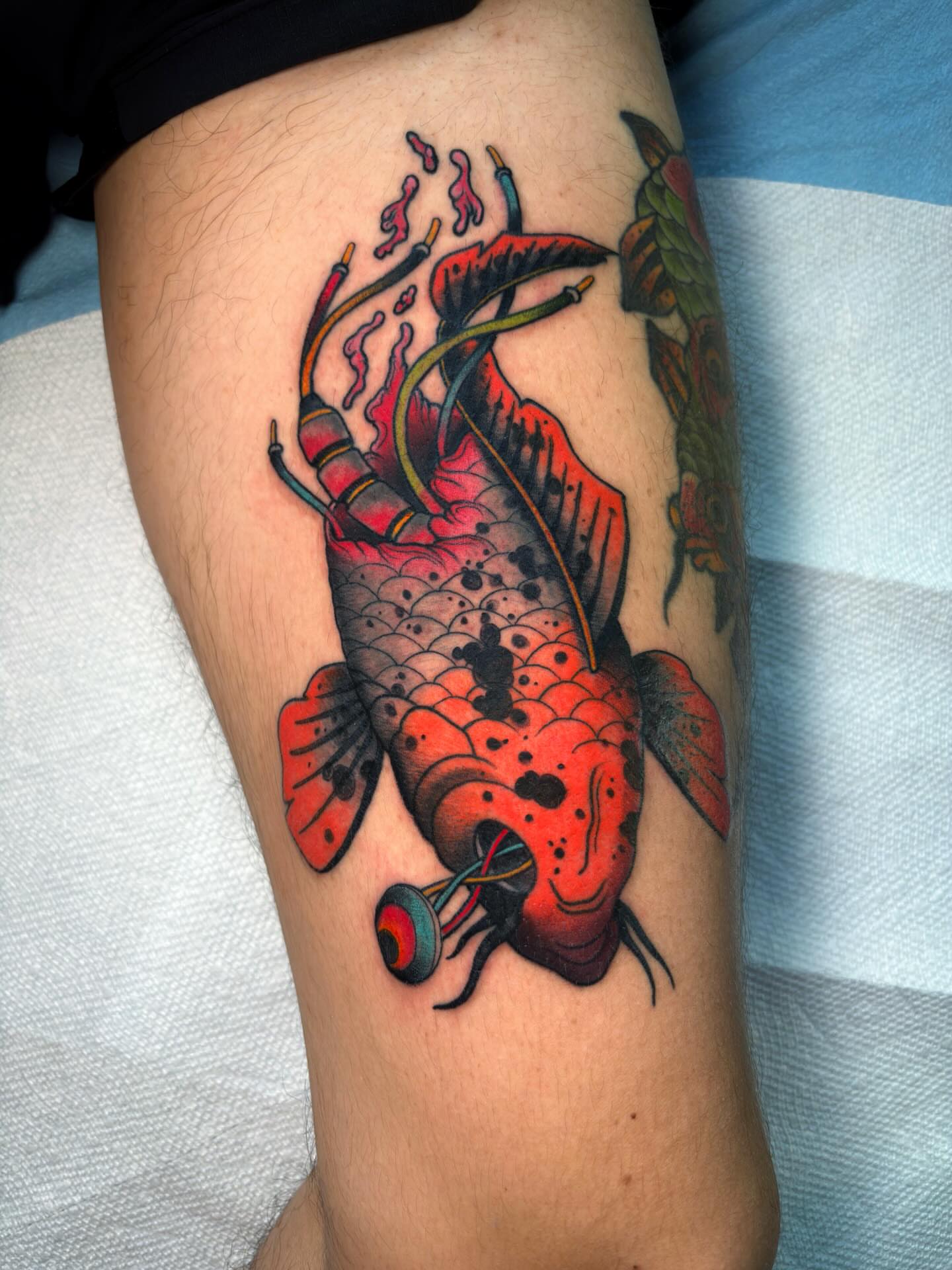 Tattoo by @shaneklos โ american_traditional, neo_traditional