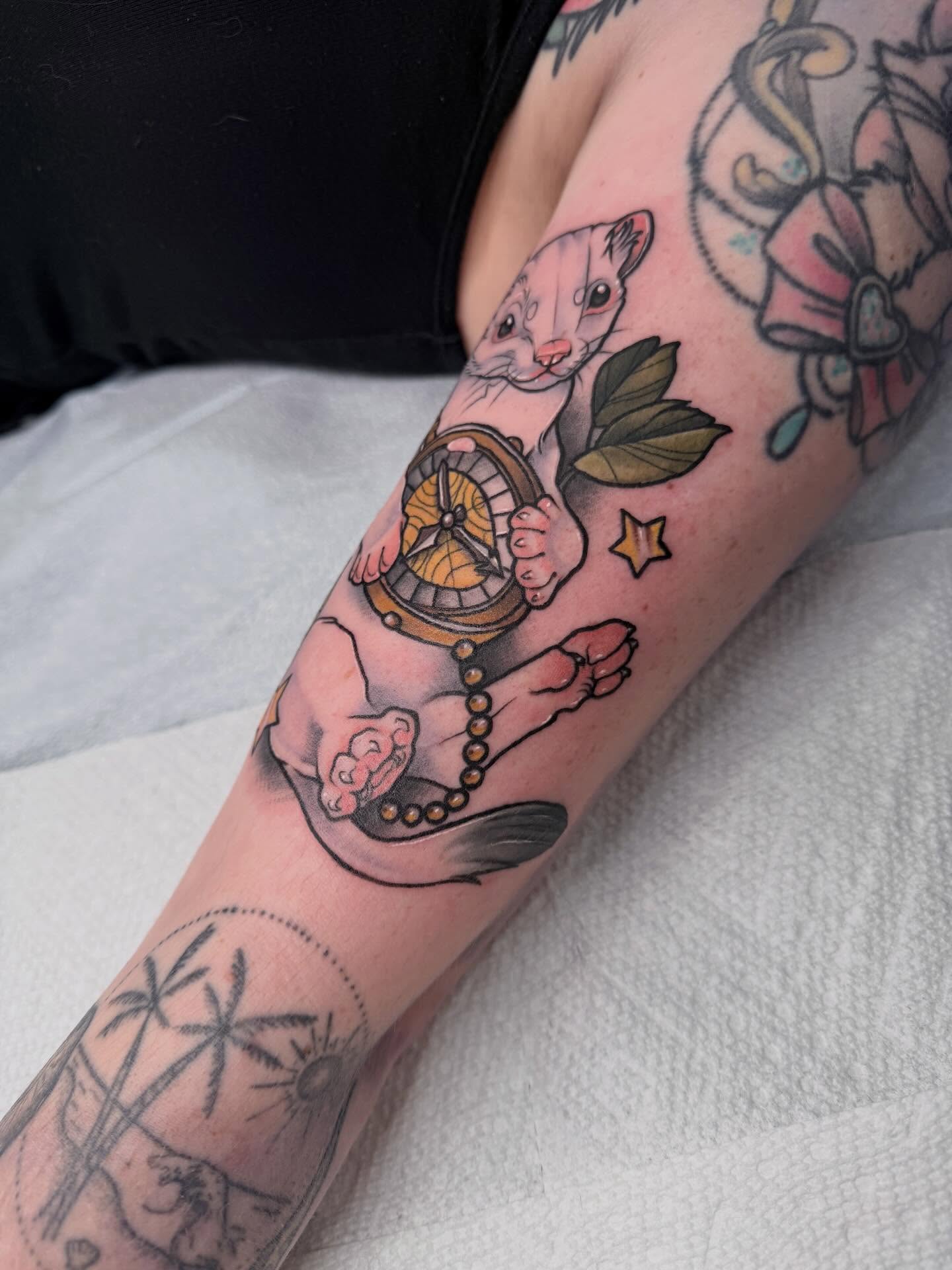 Possum and compass American traditional tattoo on the forearm by 🦋ｊｅｓｓｉｃａ  f  o  x🦋, Nashville, Tennessee