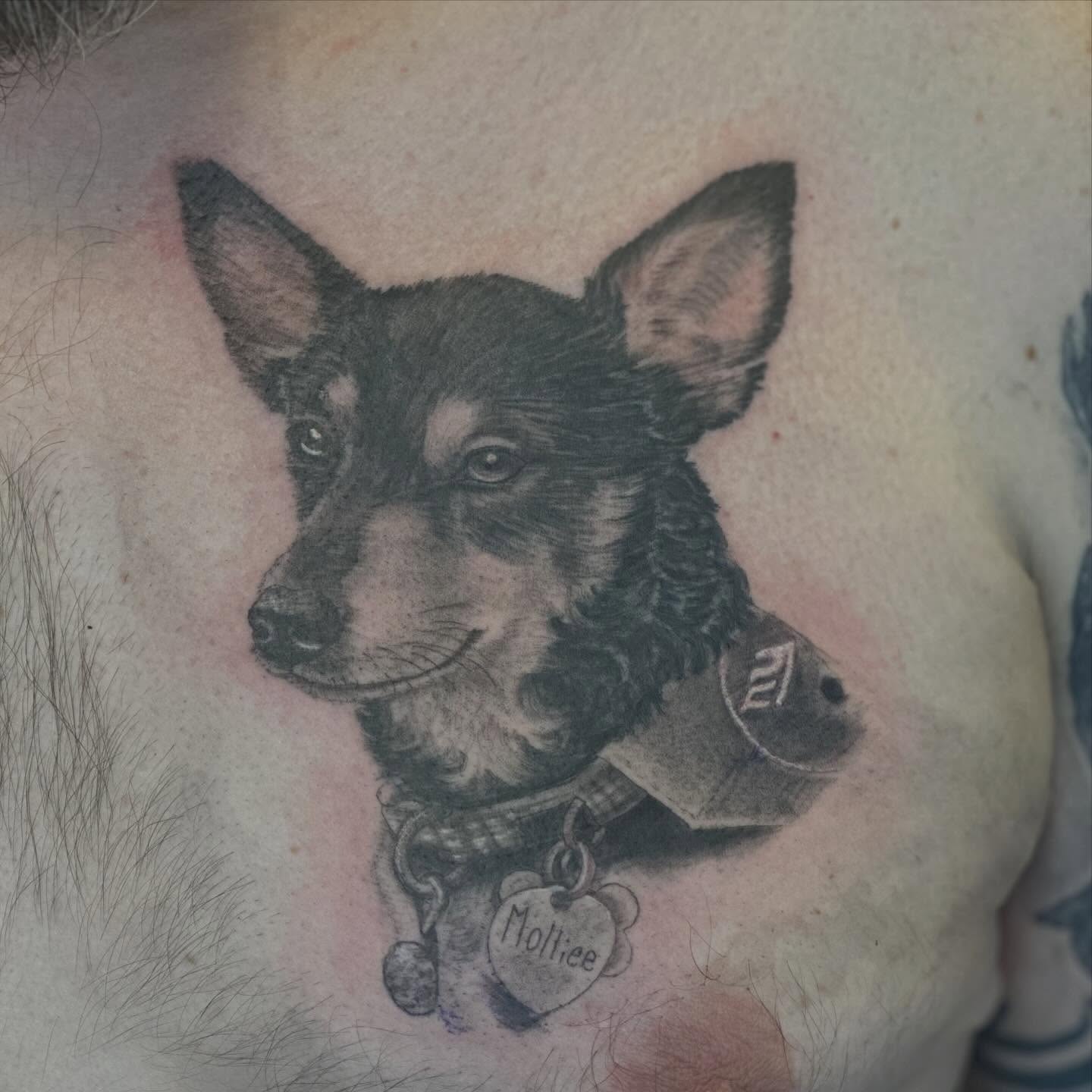 Tattoo by @tattoosbyteddi — realism