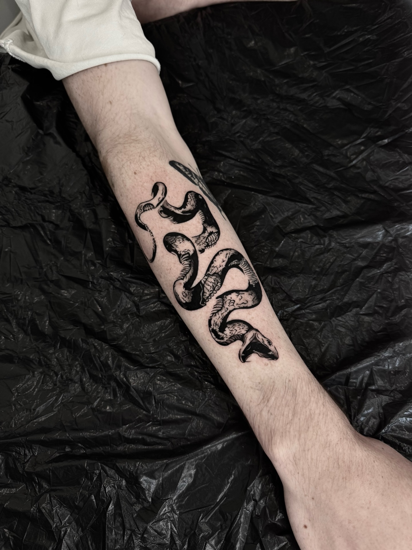 Tattoo by @vamos_tat — black_and_grey