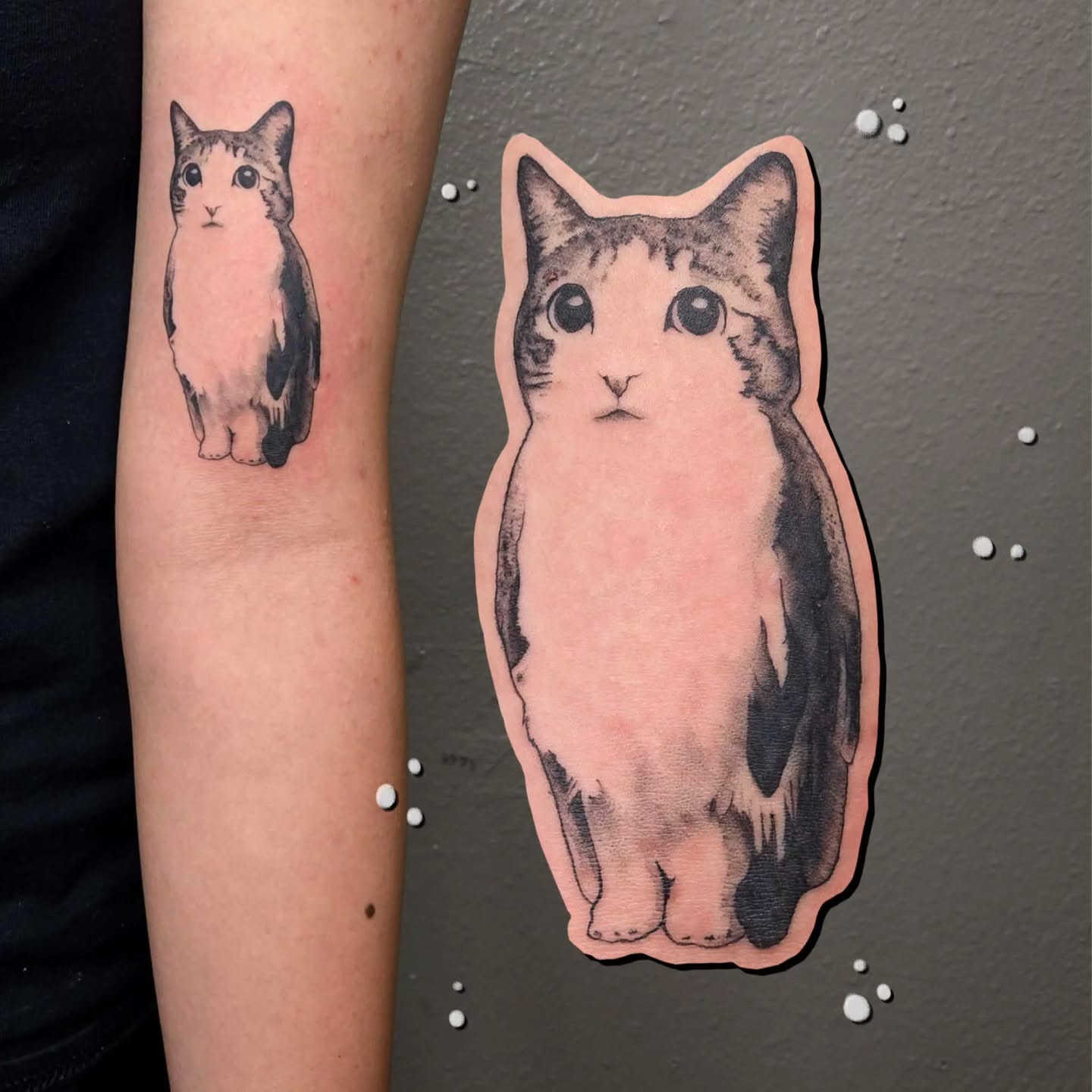 Cat black and grey tattoo on the forearm by alec