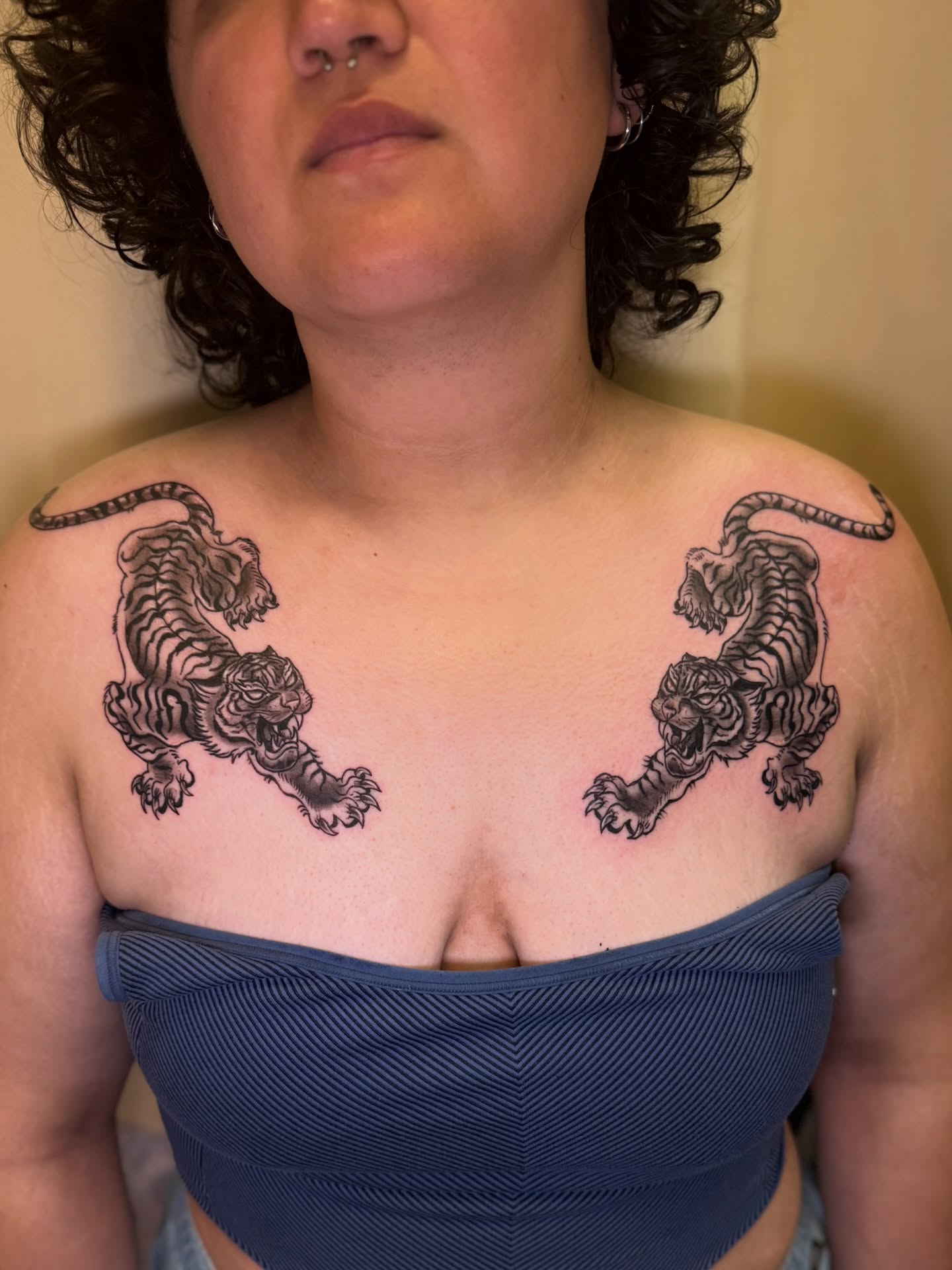 Tigers black and grey tattoo on the chest by ❈°binx°❈