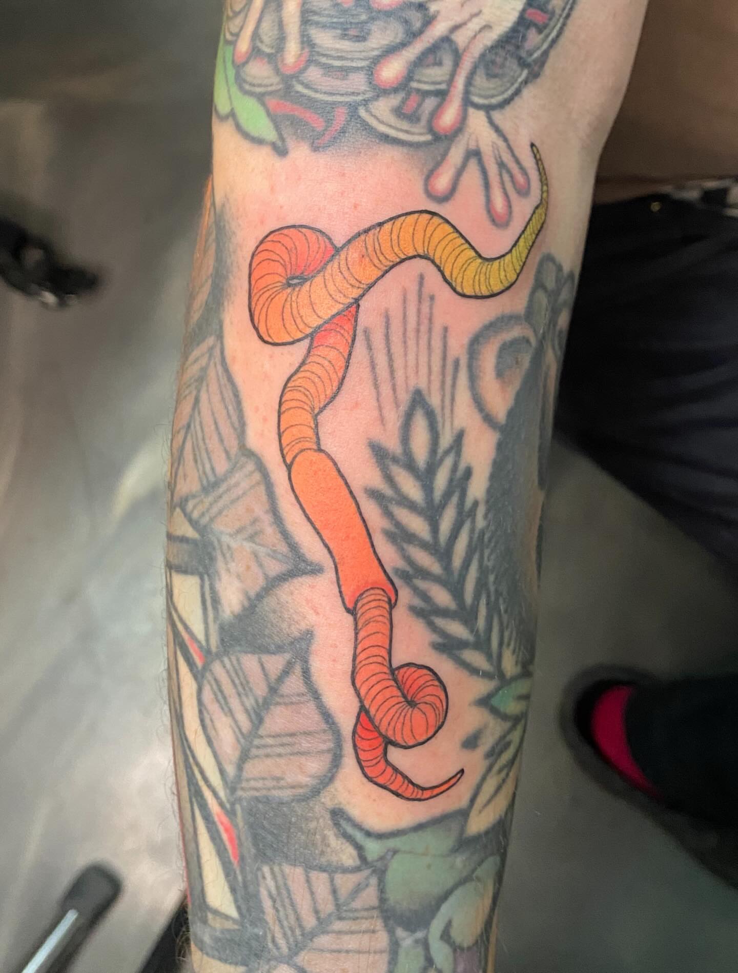 Worm new school tattoo on the forearm by Kyle Kozek, Columbus, Ohio