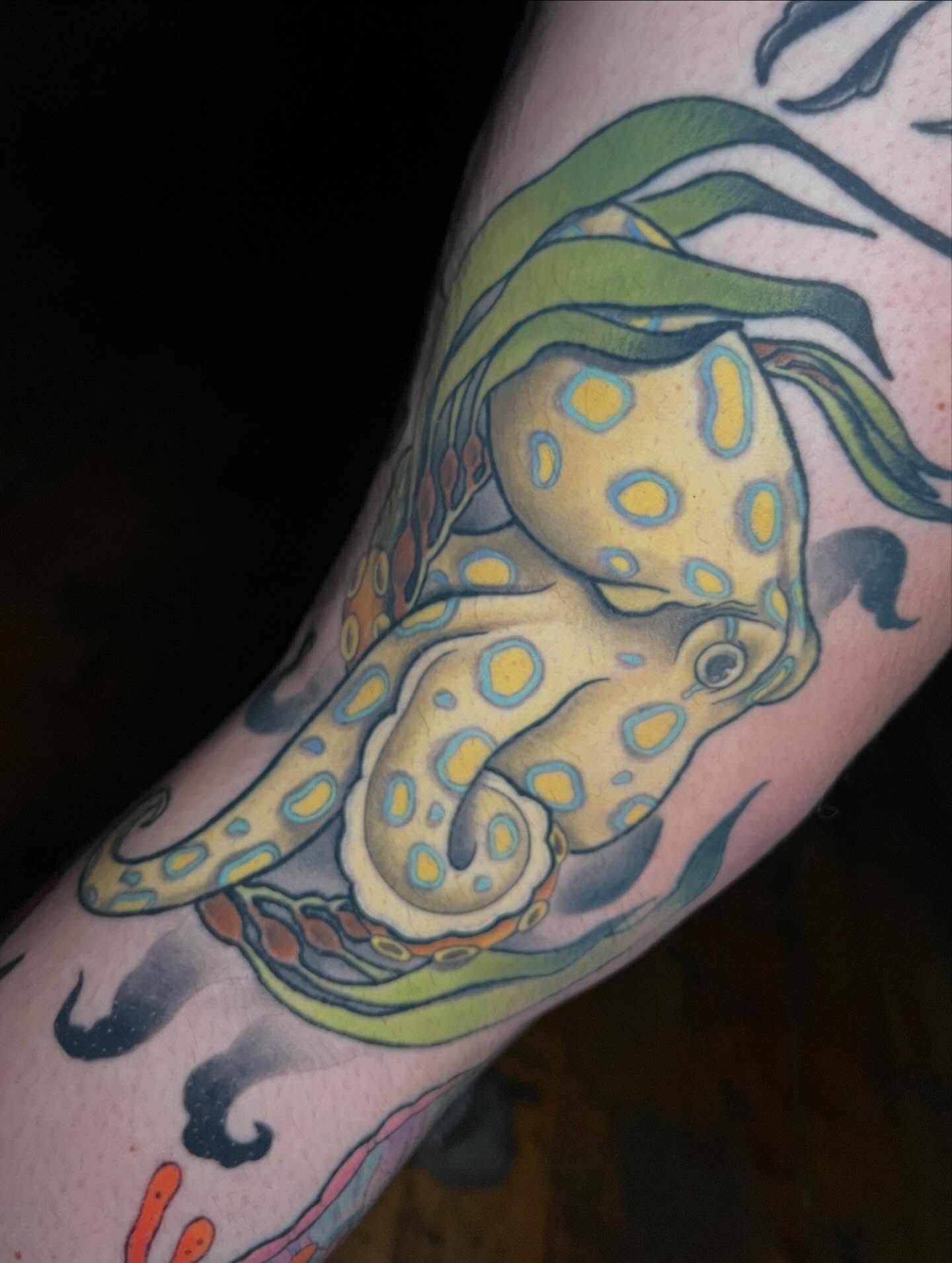 Octopus American traditional tattoo on the forearm by Katie Ann Tattoos