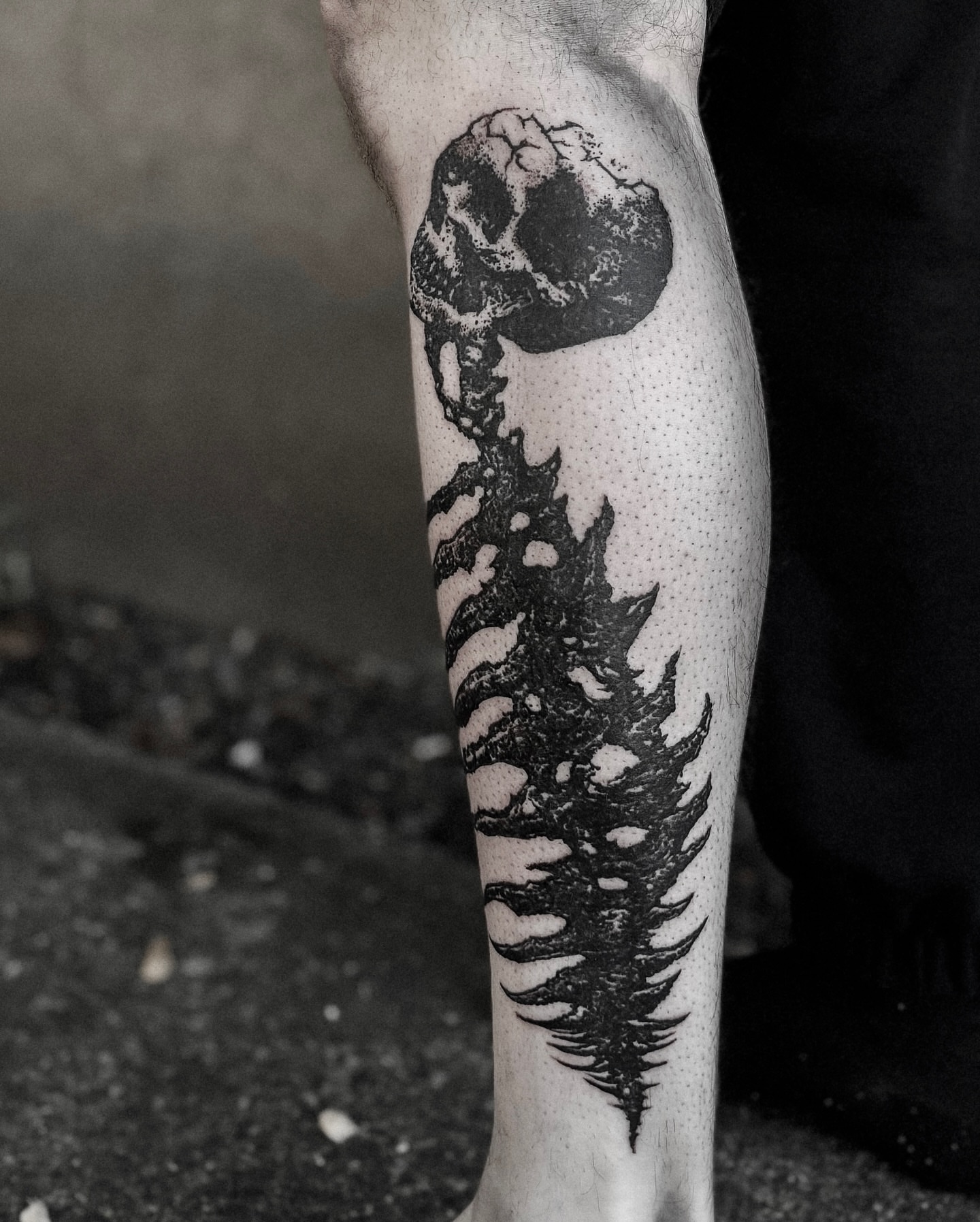 Pine tree dotwork tattoo on the forearm by ąʑཞąıą ཞąıŋ