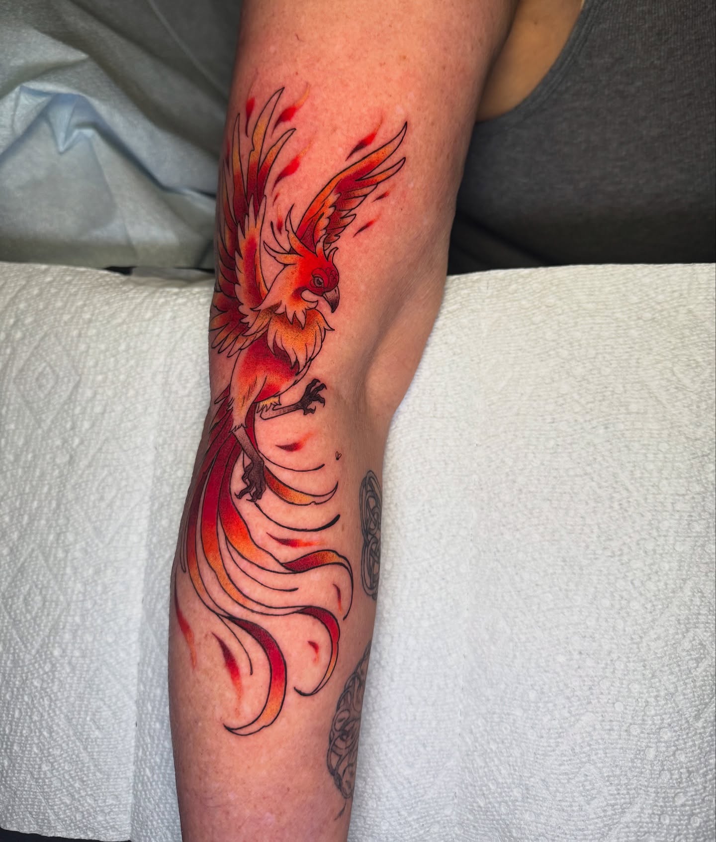Phoenix watercolor tattoo on the forearm by 𝕹𝖆𝖙