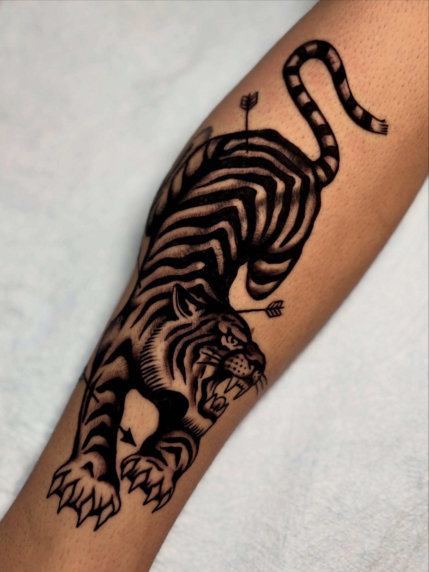 Tiger black and grey tattoo on the forearm by Weston Imhoff