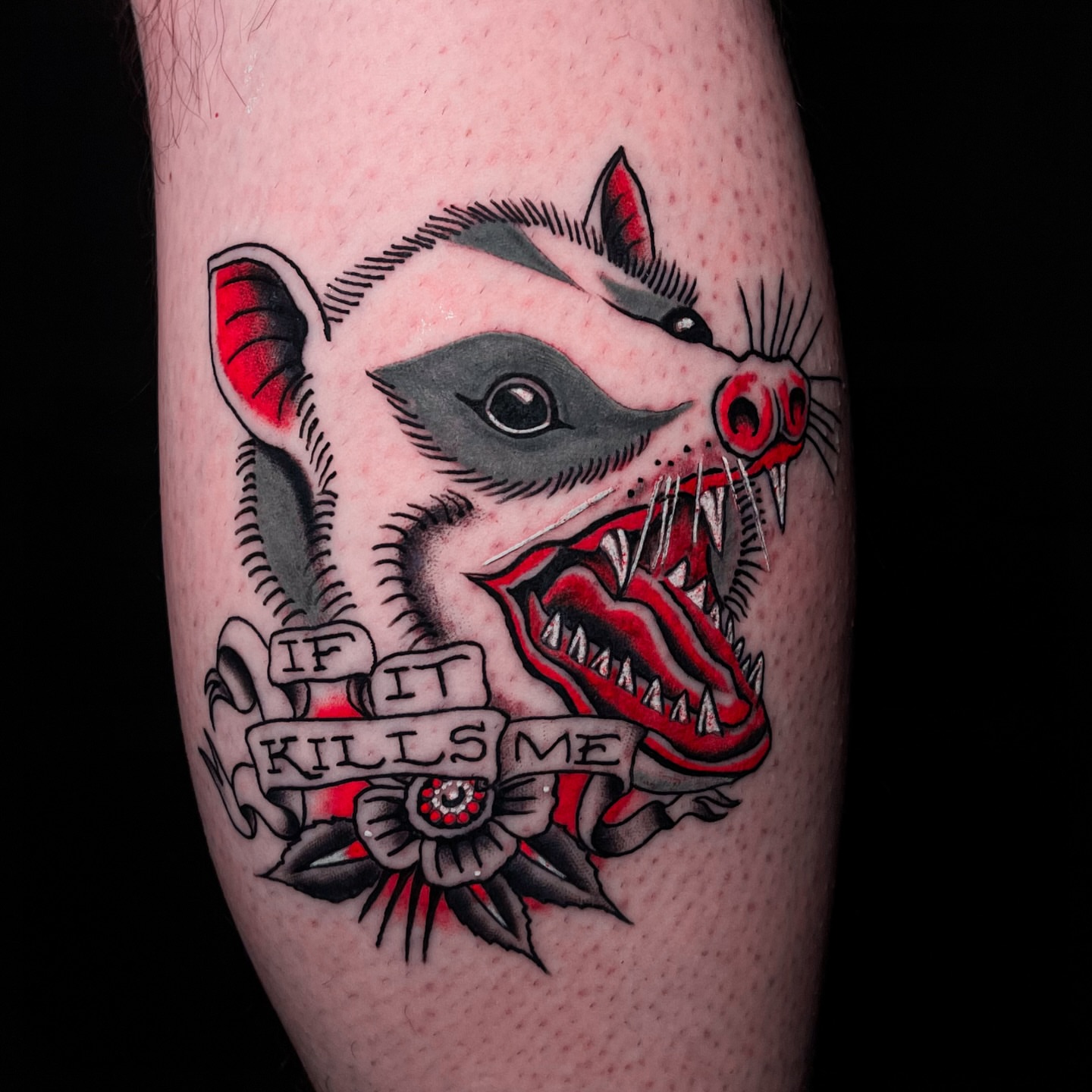 Badger American traditional tattoo on the forearm by Miguel Henrik