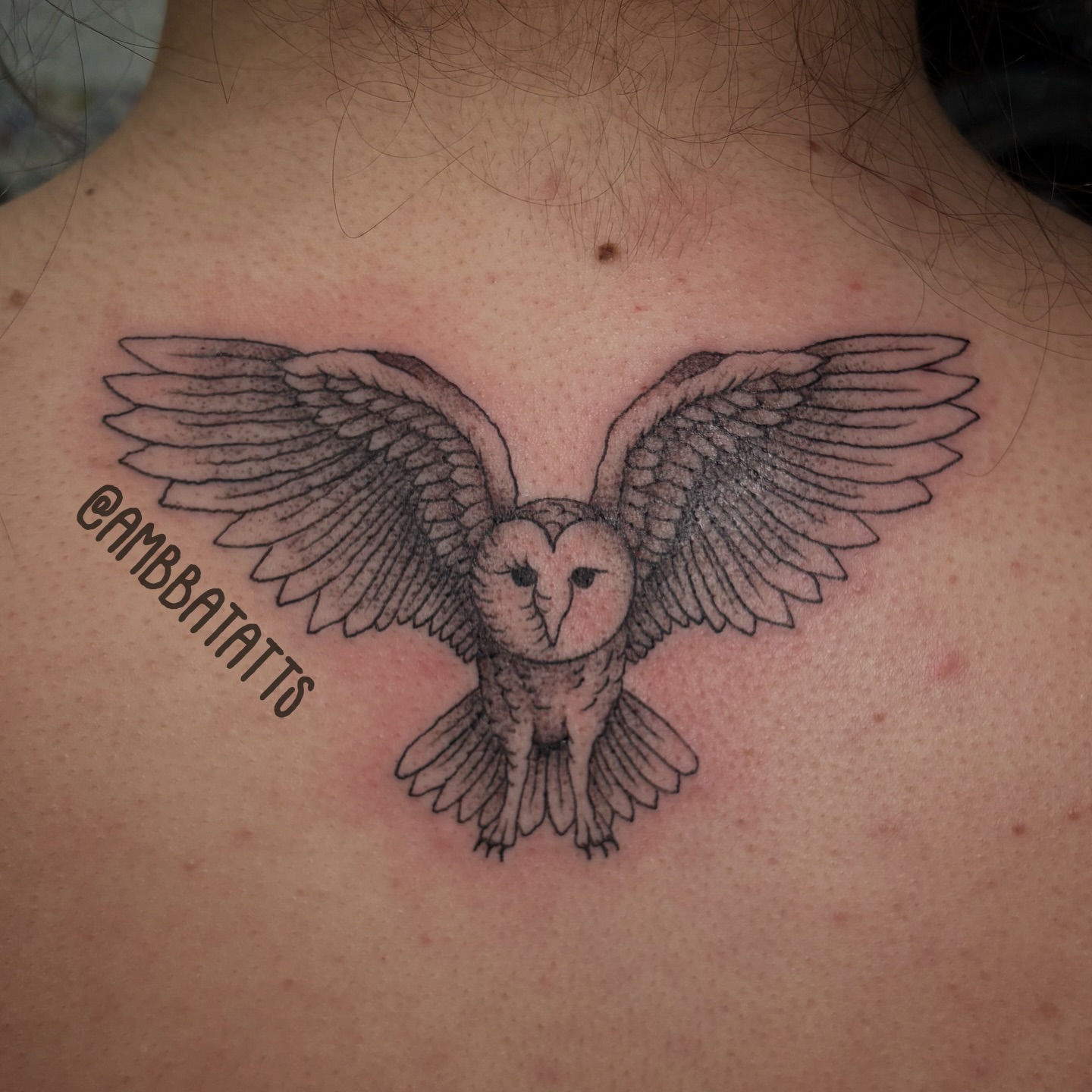 Owl black and grey tattoo on the back by amber brady, Brunswick, Ohio