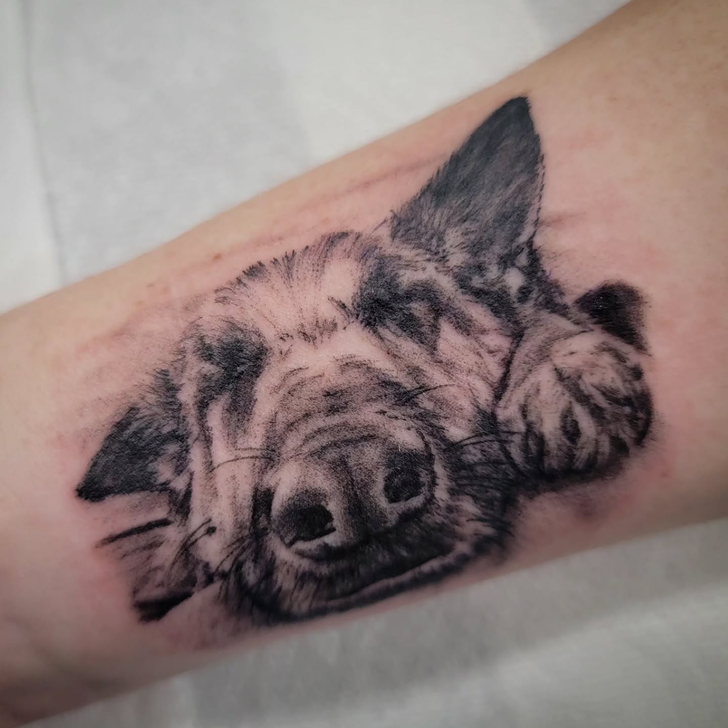 Tattoo by @jeremylaflammetattoos — realism