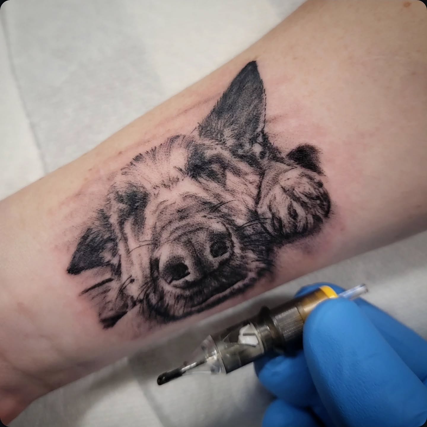 Tattoo by @jeremylaflammetattoos — realism