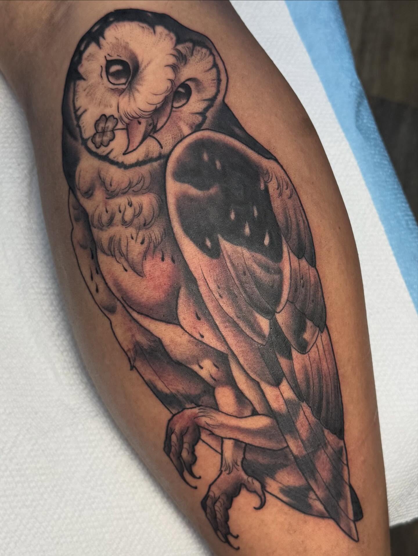 Owl black and grey tattoo on the forearm by Eli