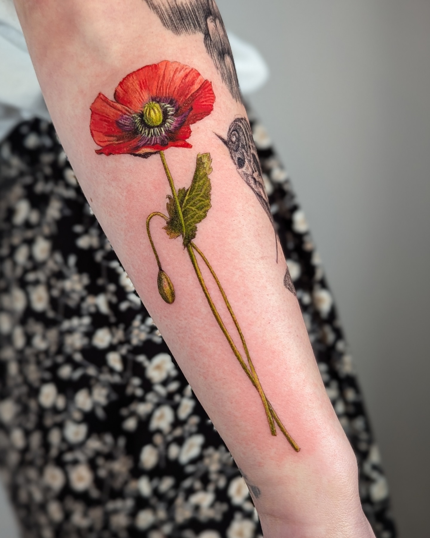 Tattoo by @redrooktattoo — realism
