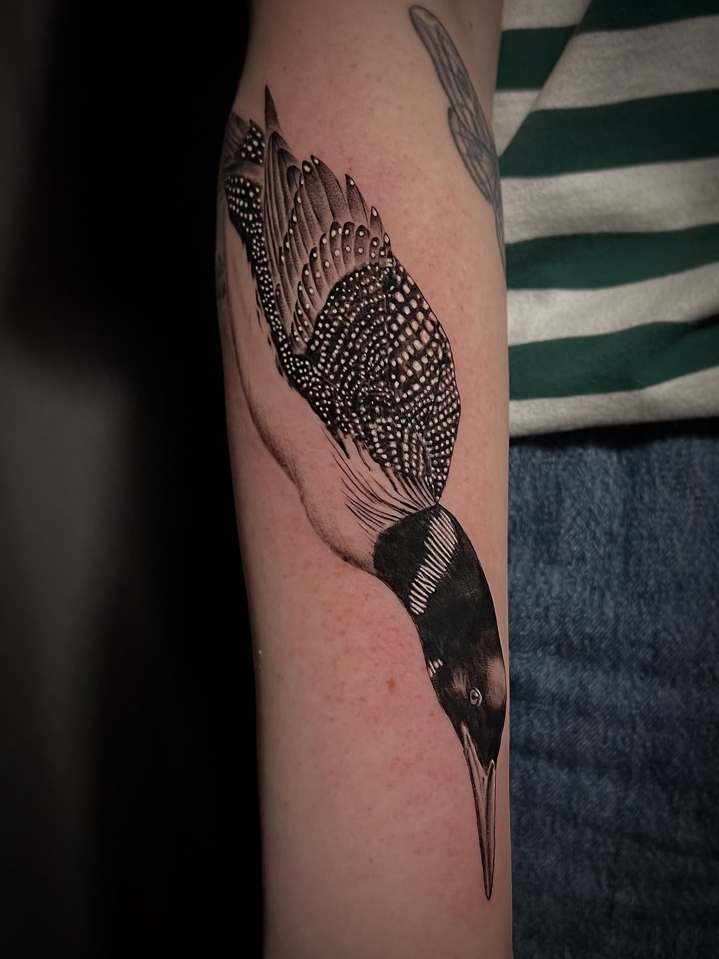 Woodpecker dotwork tattoo on the forearm by Jen Rahman