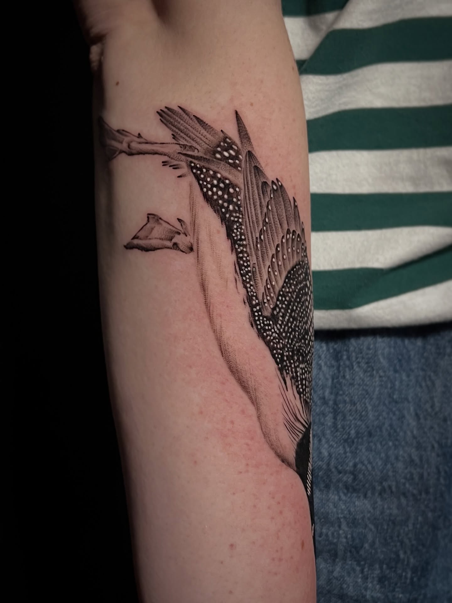 Bird dotwork tattoo on the forearm by Jen Rahman