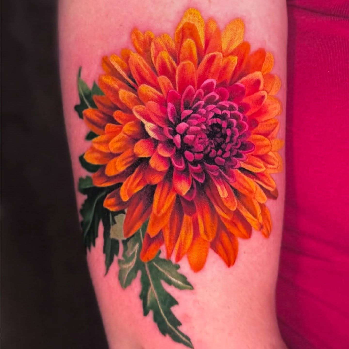 Chrysanthemum realism tattoo on the forearm by ᴍɪʟᴀ ꜱᴀꜱɪᴇᴛᴀ