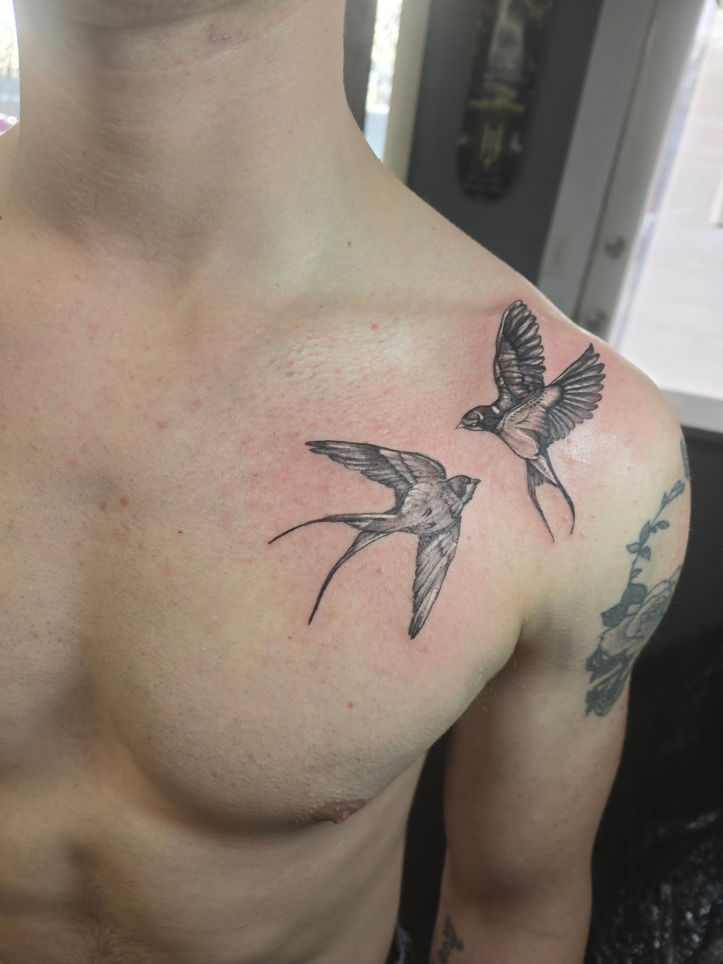 Swallows black and grey tattoo on the shoulder by Maddox Kitson🕷