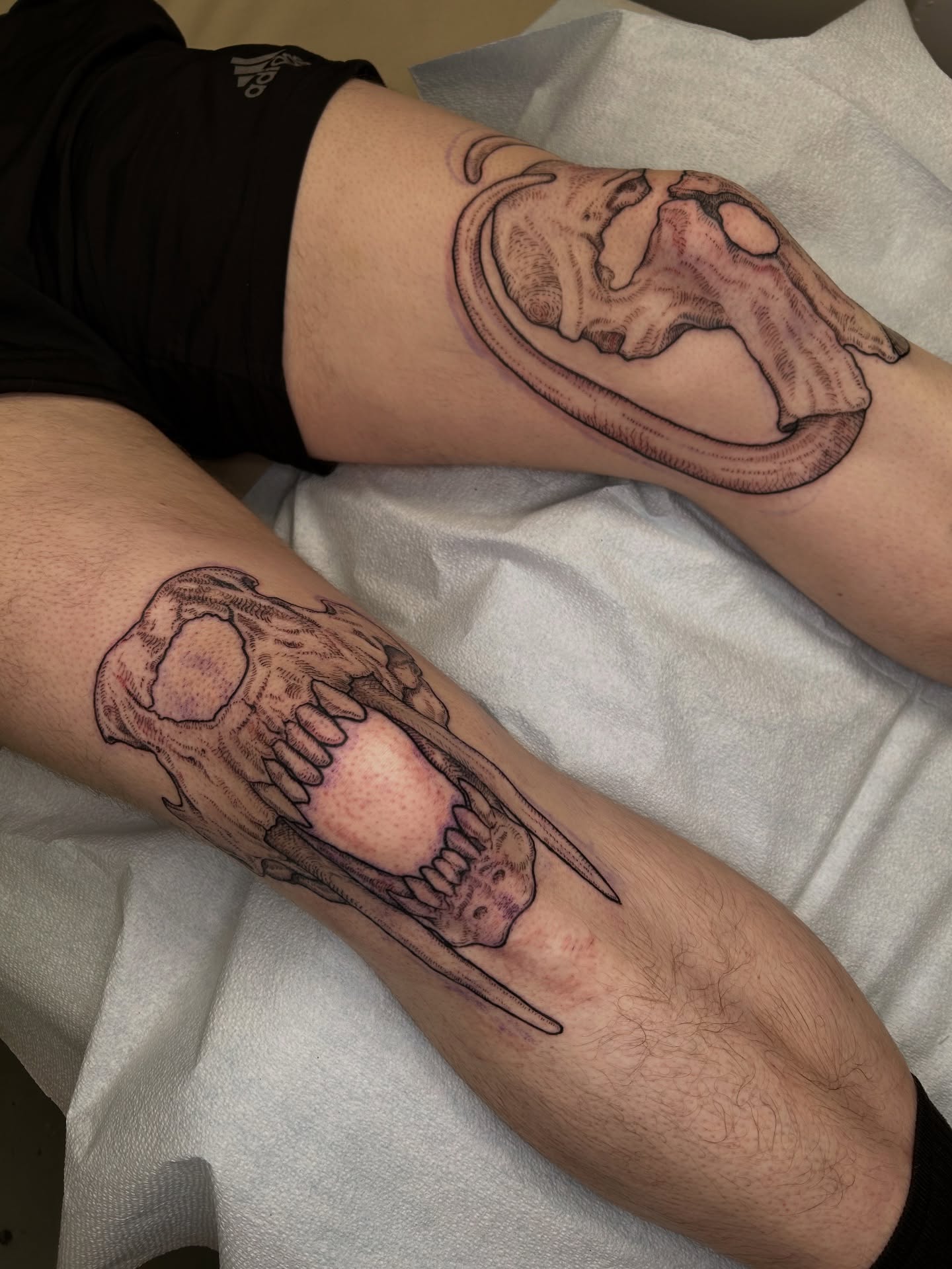 Skull black and grey tattoo on the forearm by Amber Miracle