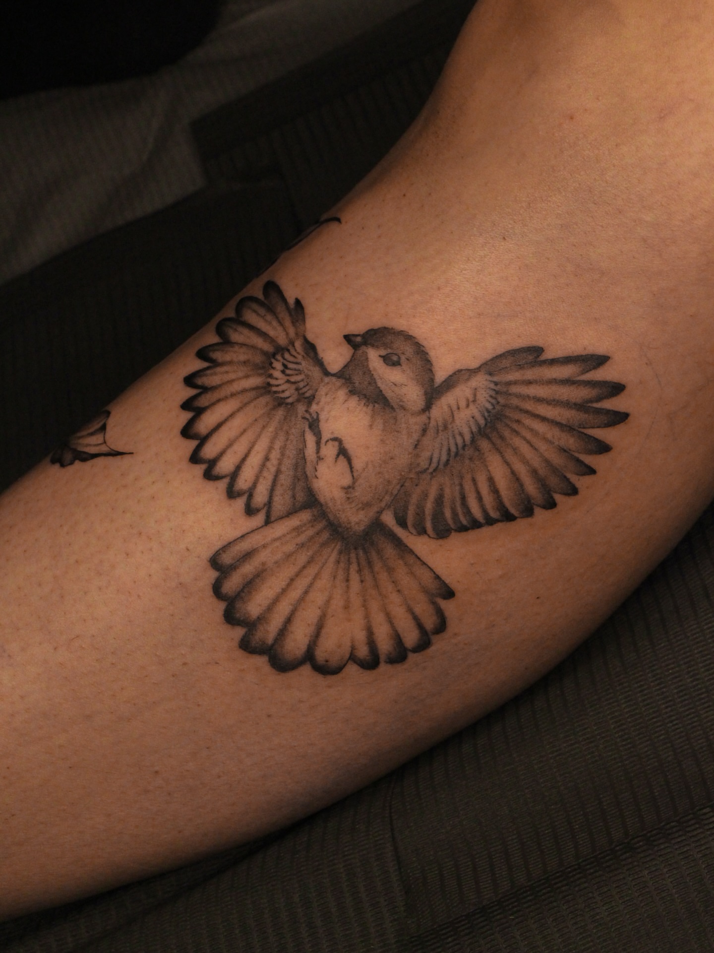 Tattoo by @lucid.invitation — realism