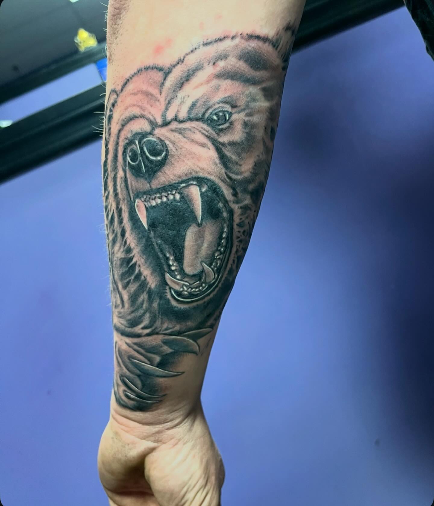 Roaring bear realism tattoo on the forearm by Mark Calloway