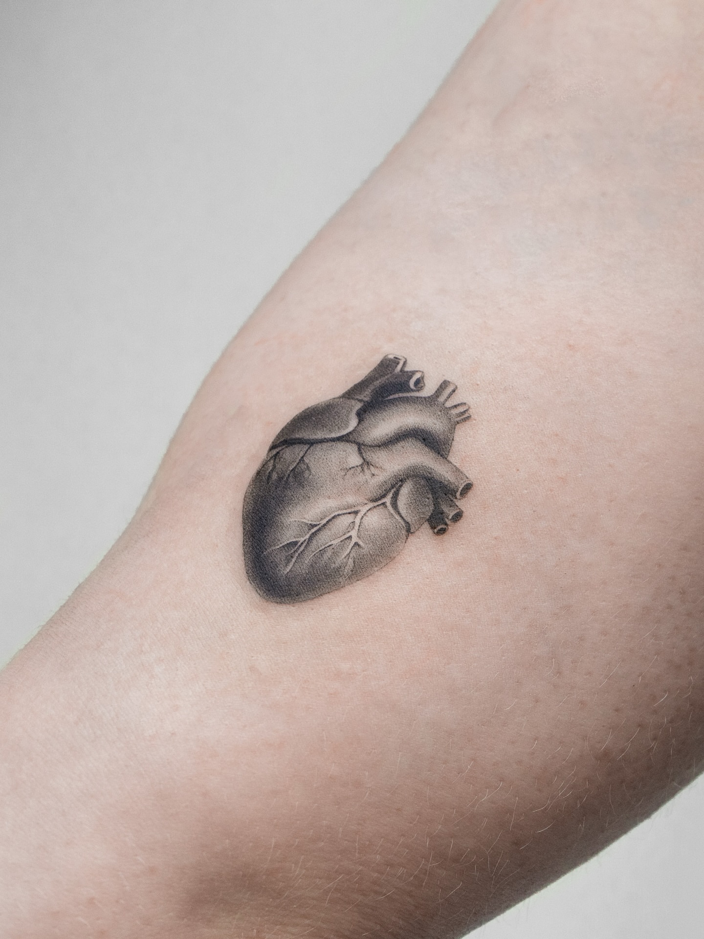 Tattoo by @lemontreeink — realism