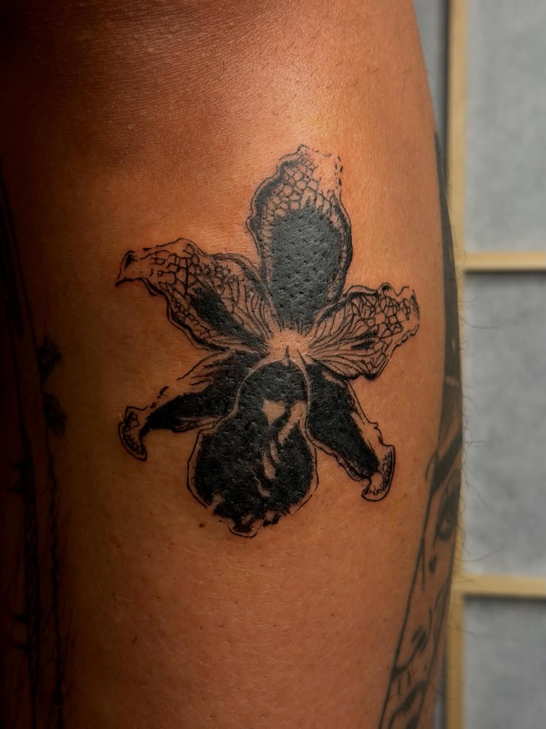 Orchid fine line tattoo on the forearm by 𝔖𝔩𝔢𝔫𝔡𝔶 𝔇𝔢𝔩𝔤𝔞𝔡𝔬 𝔖𝔬𝔱𝔬
