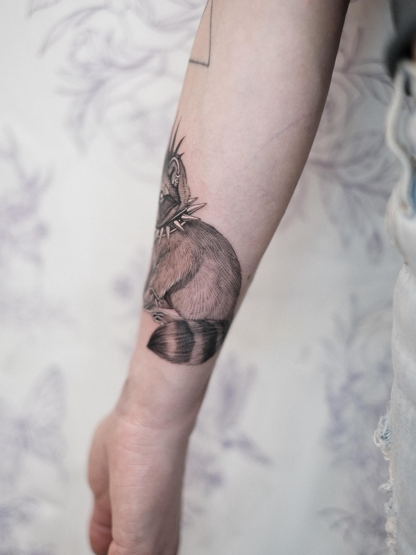 Raccoon realism tattoo on the forearm by Isabelle Kellar, San Diego, California