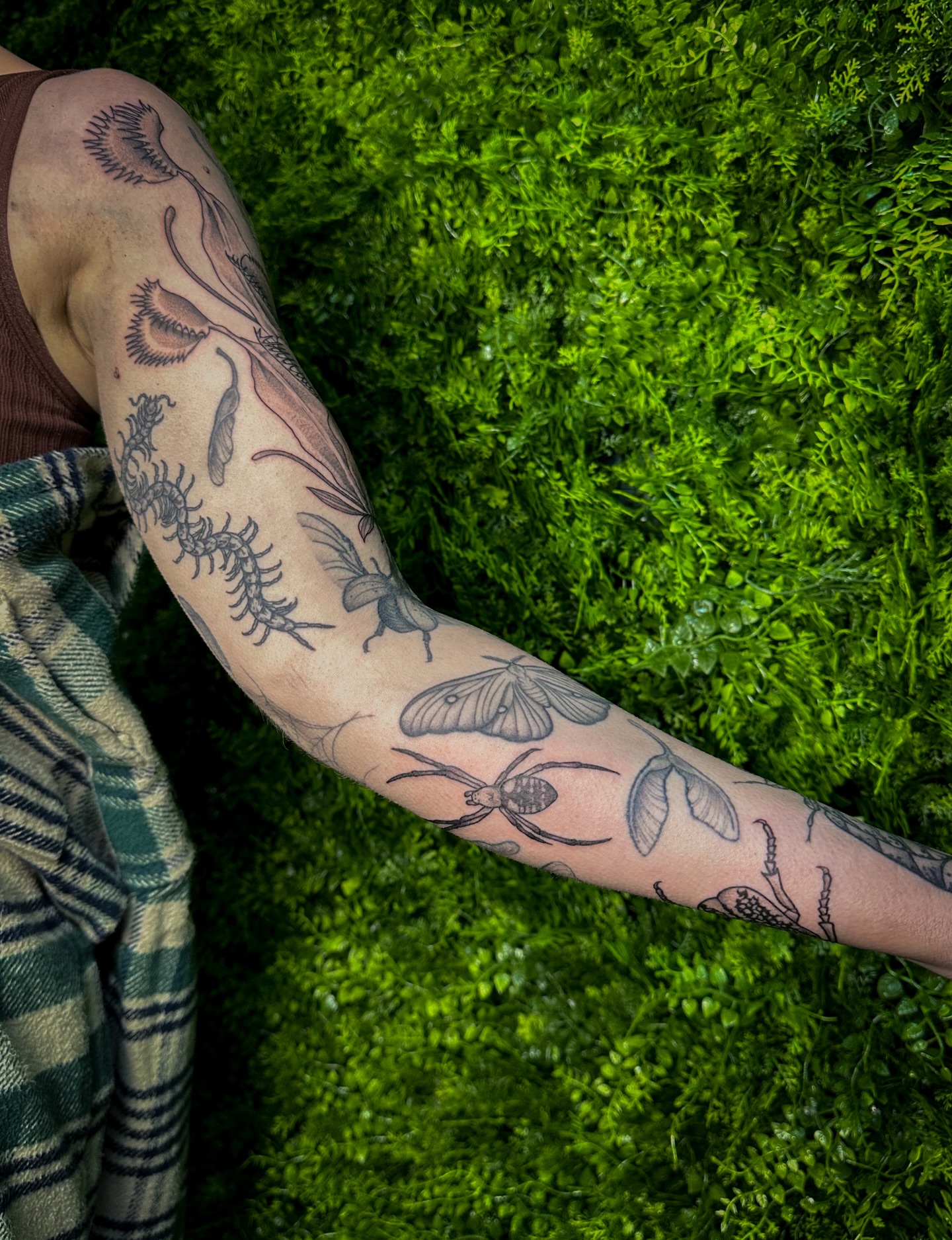 Insects and plants black and grey tattoo on the forearm by 𝑰𝒍𝒍𝒖𝒔𝒕𝒓𝒂𝒕𝒊𝒗𝒆 𝑵𝒂𝒕𝒖𝒓𝒆 𝑻𝒂𝒕𝒕𝒐𝒐 𝑨𝒓𝒕𝒊𝒔𝒕