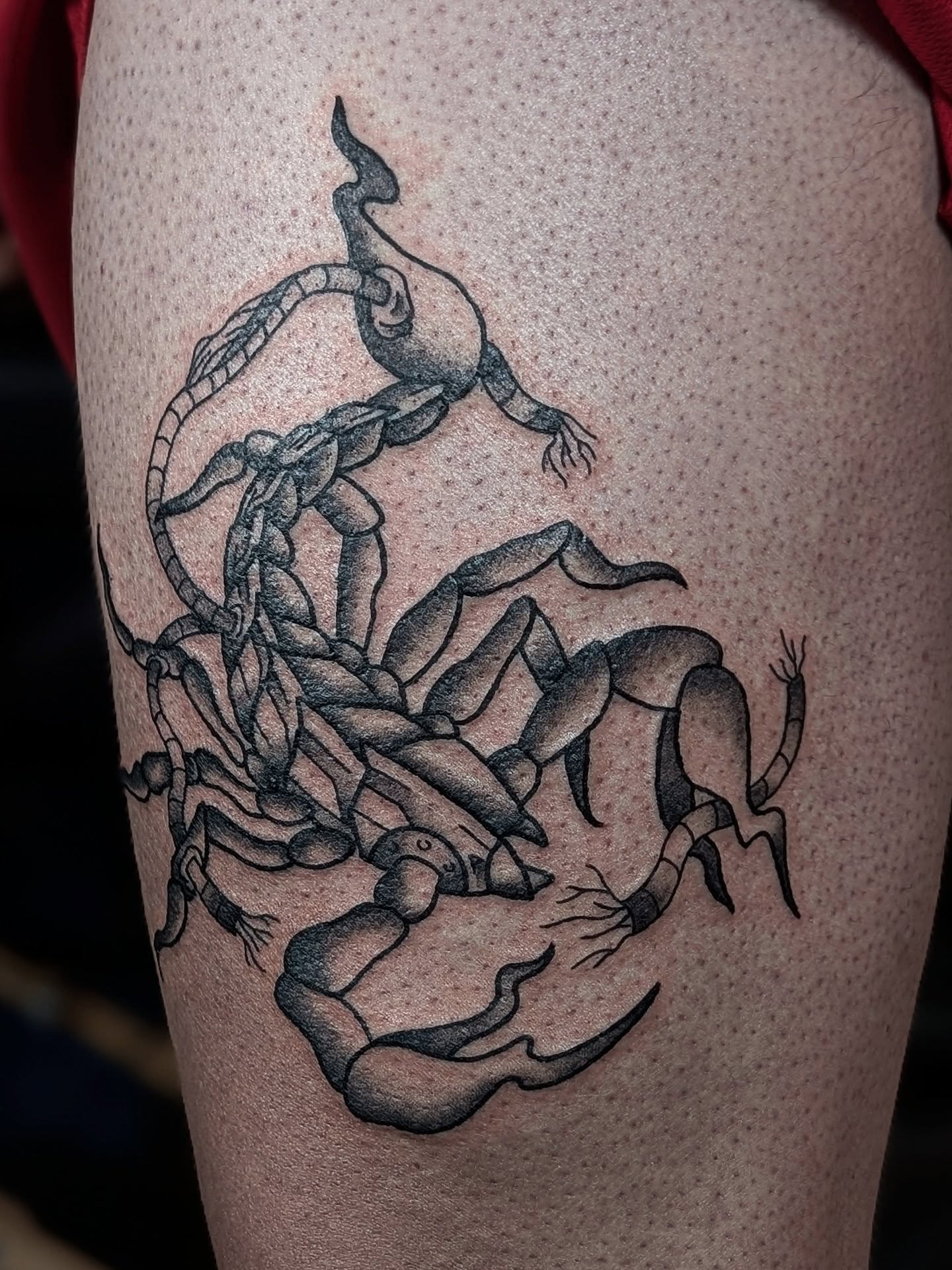 Tattoo by @elise_inks — black_and_grey