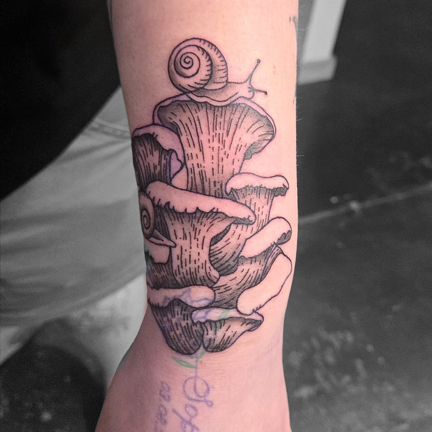 Snail and mushrooms black and grey tattoo on the forearm by Kat Coniglio Art