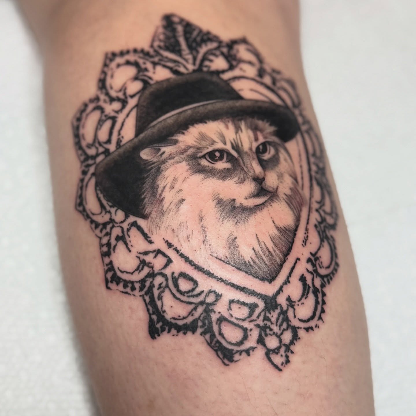 Cat wearing hat realism tattoo on the forearm by Maddie Hammell