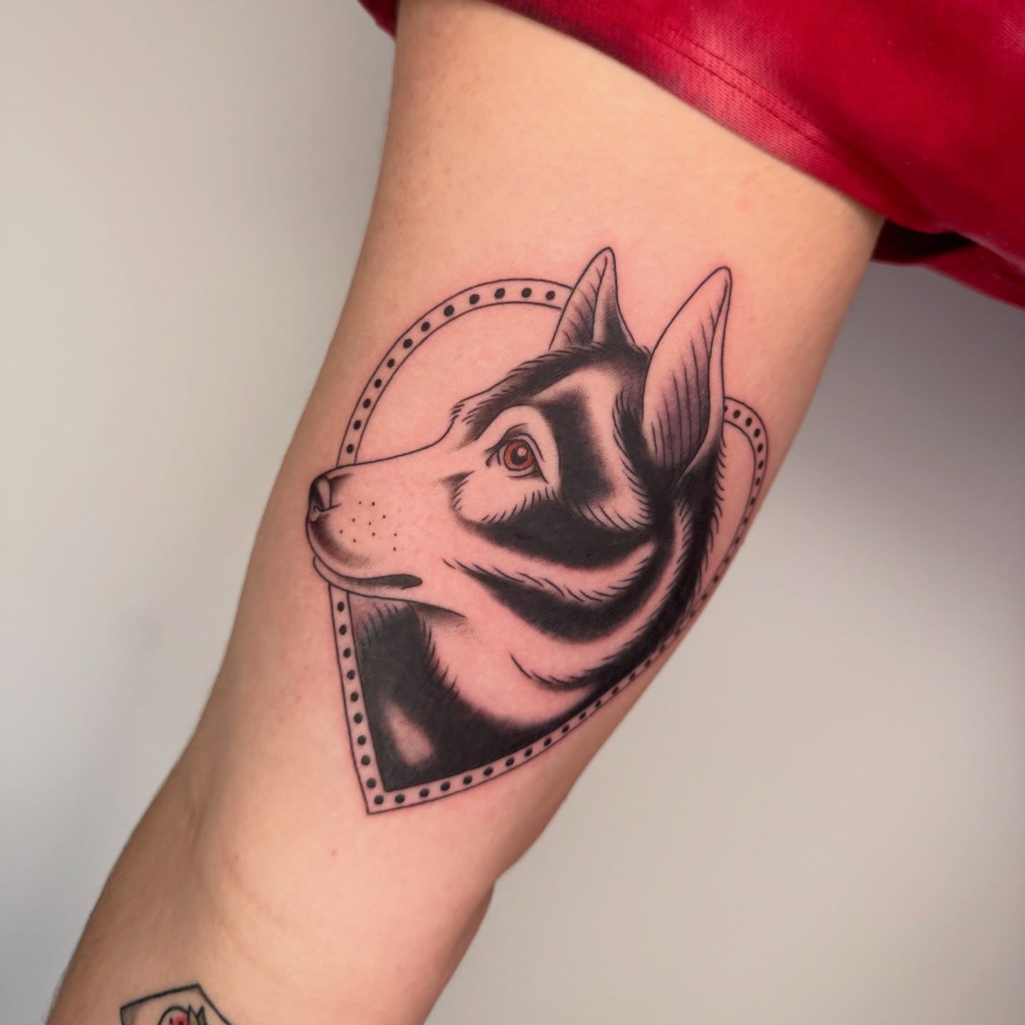 Husky dog black and grey tattoo on the forearm by Maddie Hammell