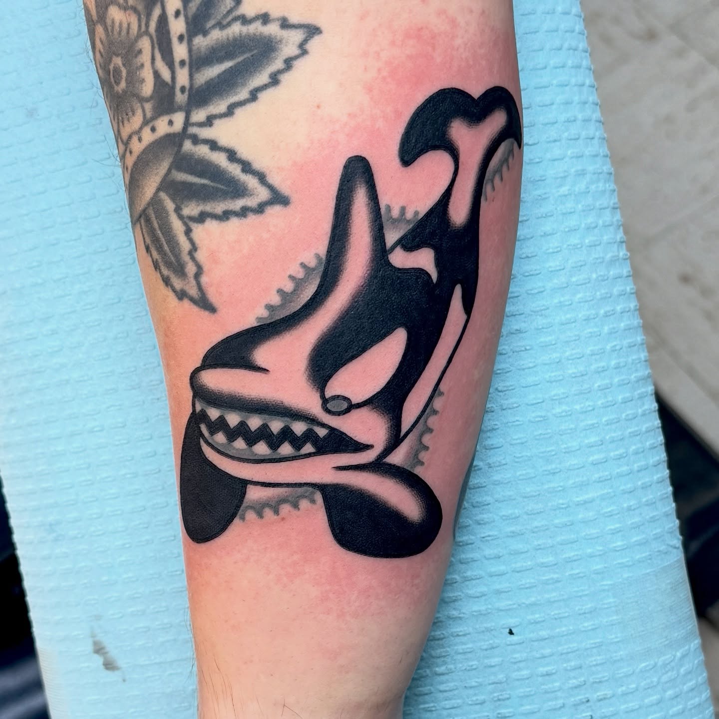 Shark American traditional tattoo on the forearm by Sam