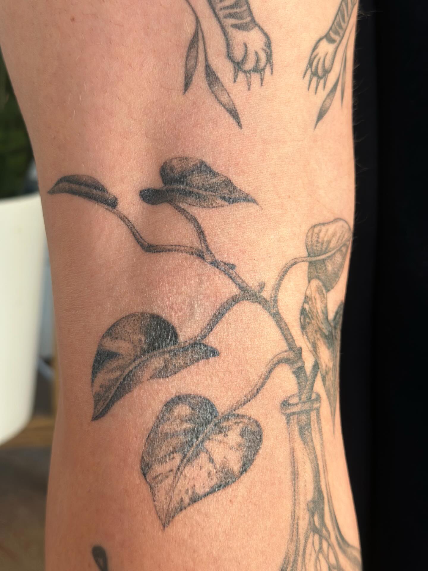 Plant black and grey tattoo on the forearm by sara scak, Lakewood, Ohio