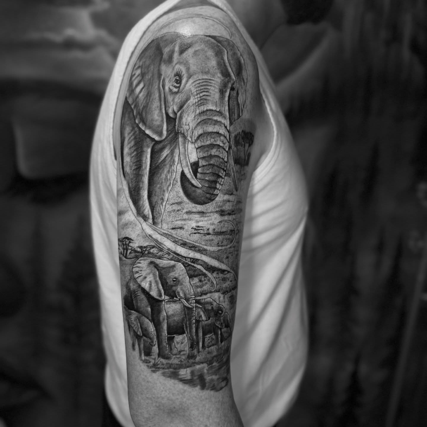 Elephant realism tattoo on the forearm by Romi Utah Tattoo