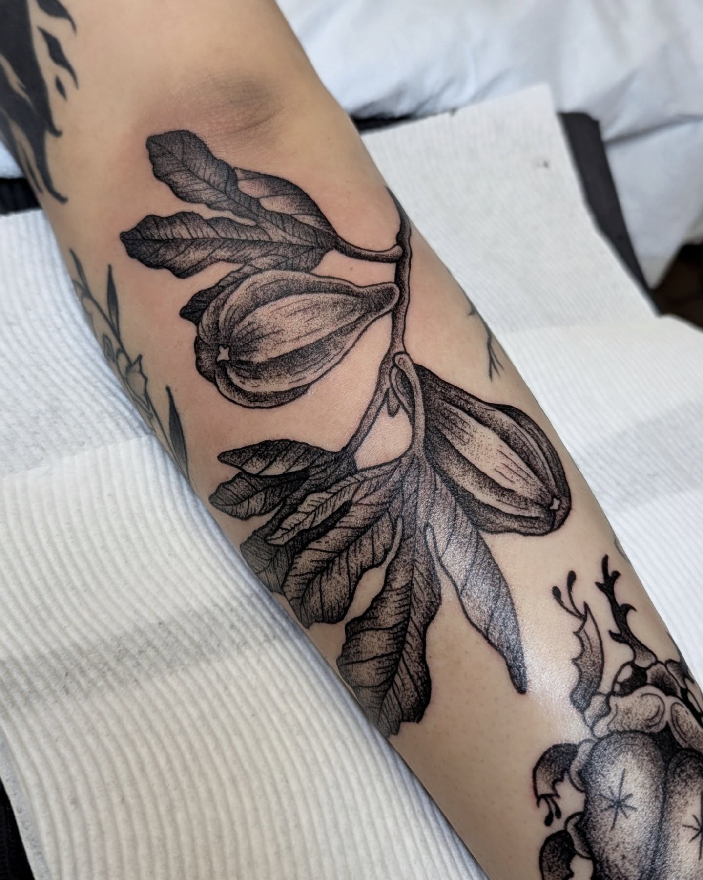 Figs and leaves black and grey tattoo on the forearm by Dani Harkey