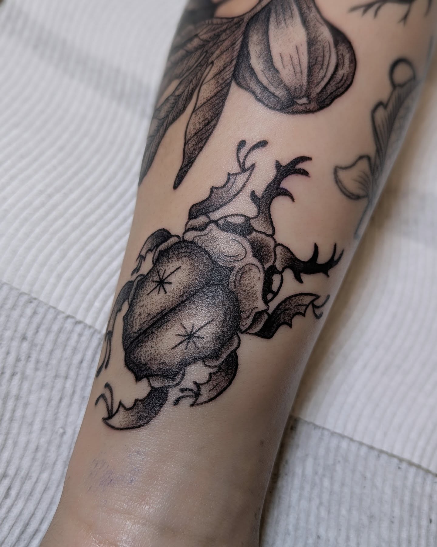 Beetle dotwork tattoo on the forearm by Dani Harkey