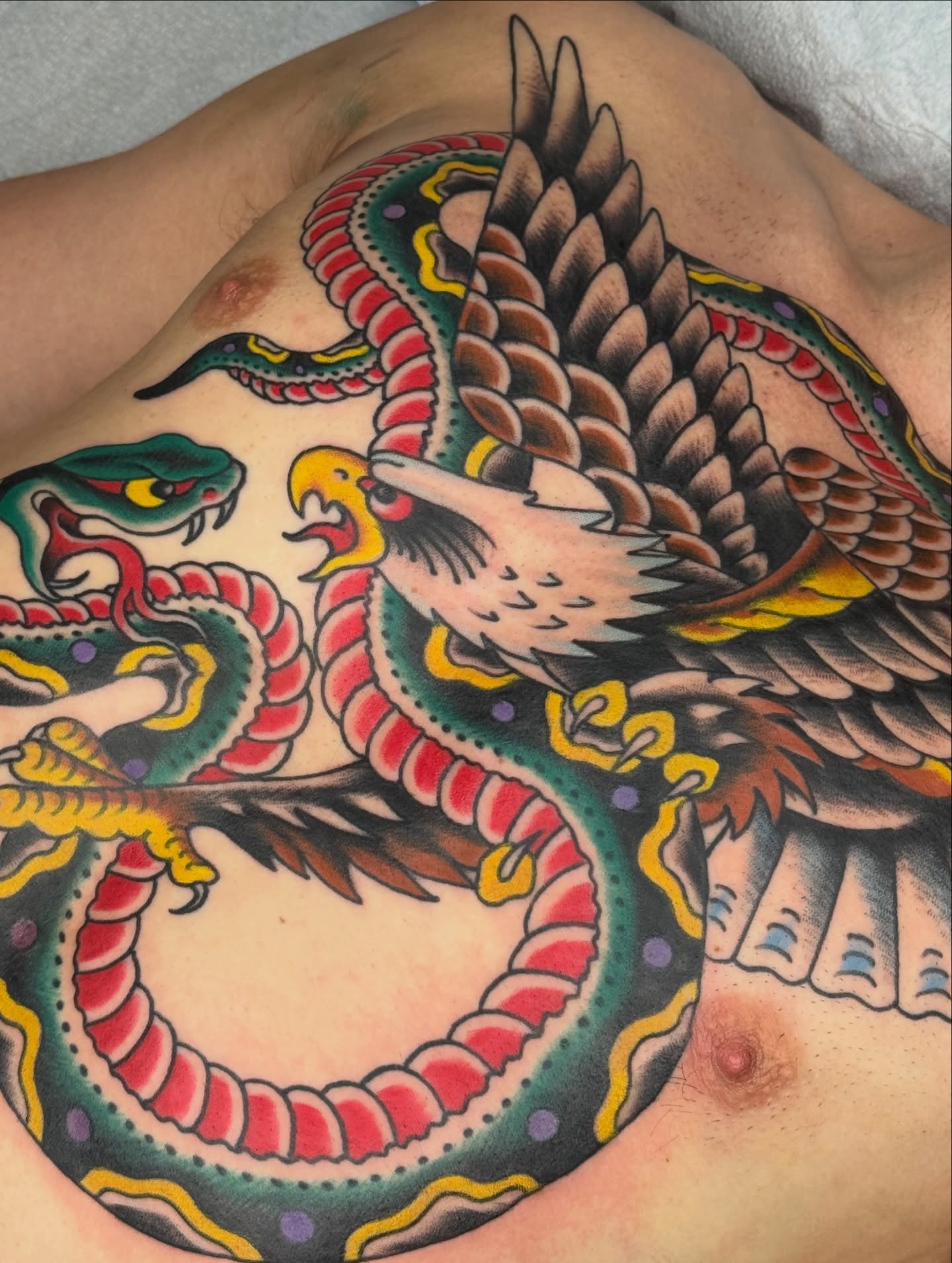 Eagle and snake American traditional tattoo on the chest by Ben Karnofsky