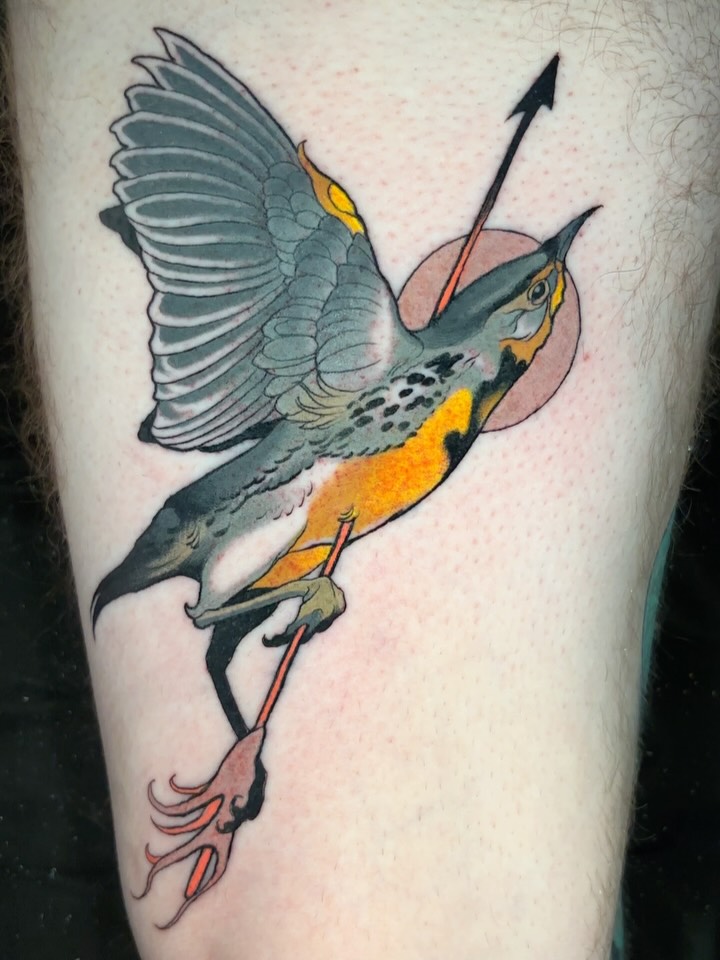 Bird with arrow American traditional tattoo on the forearm by Aaron Wallace
