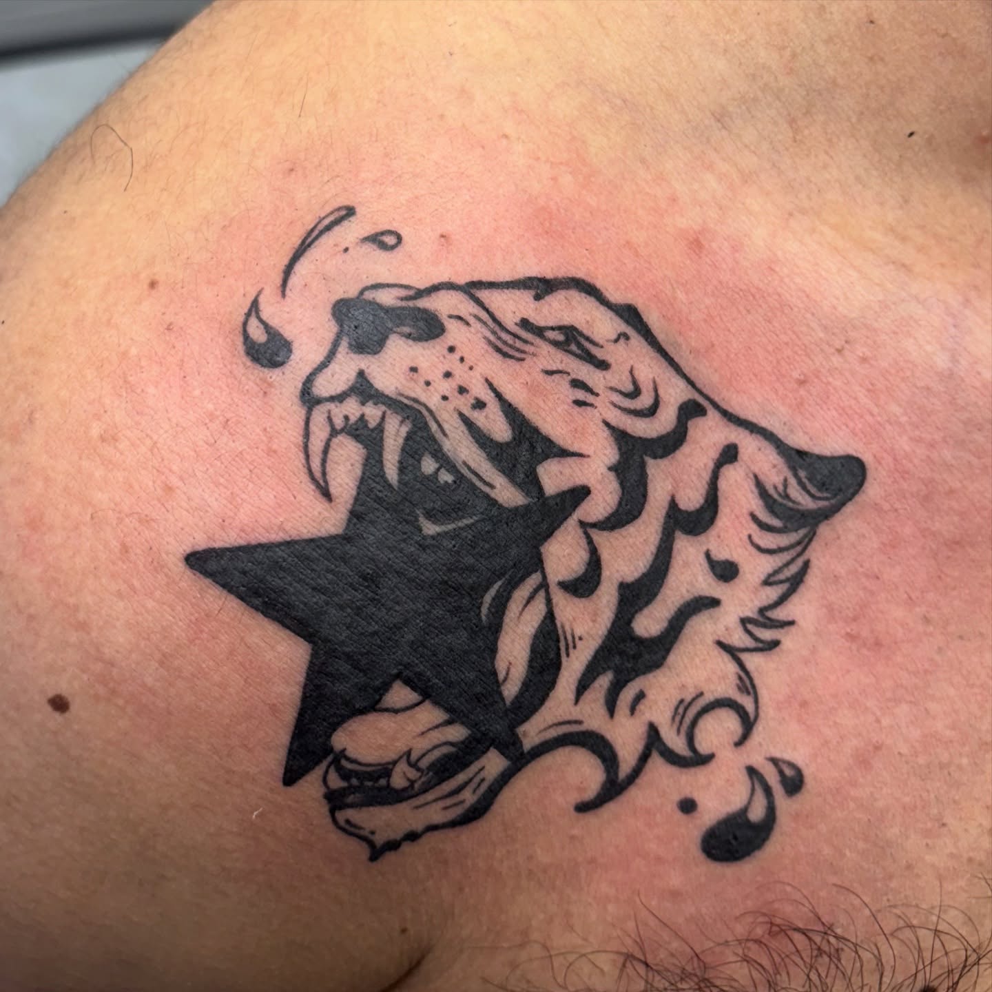 Tattoo by @mushypokes — black_and_grey