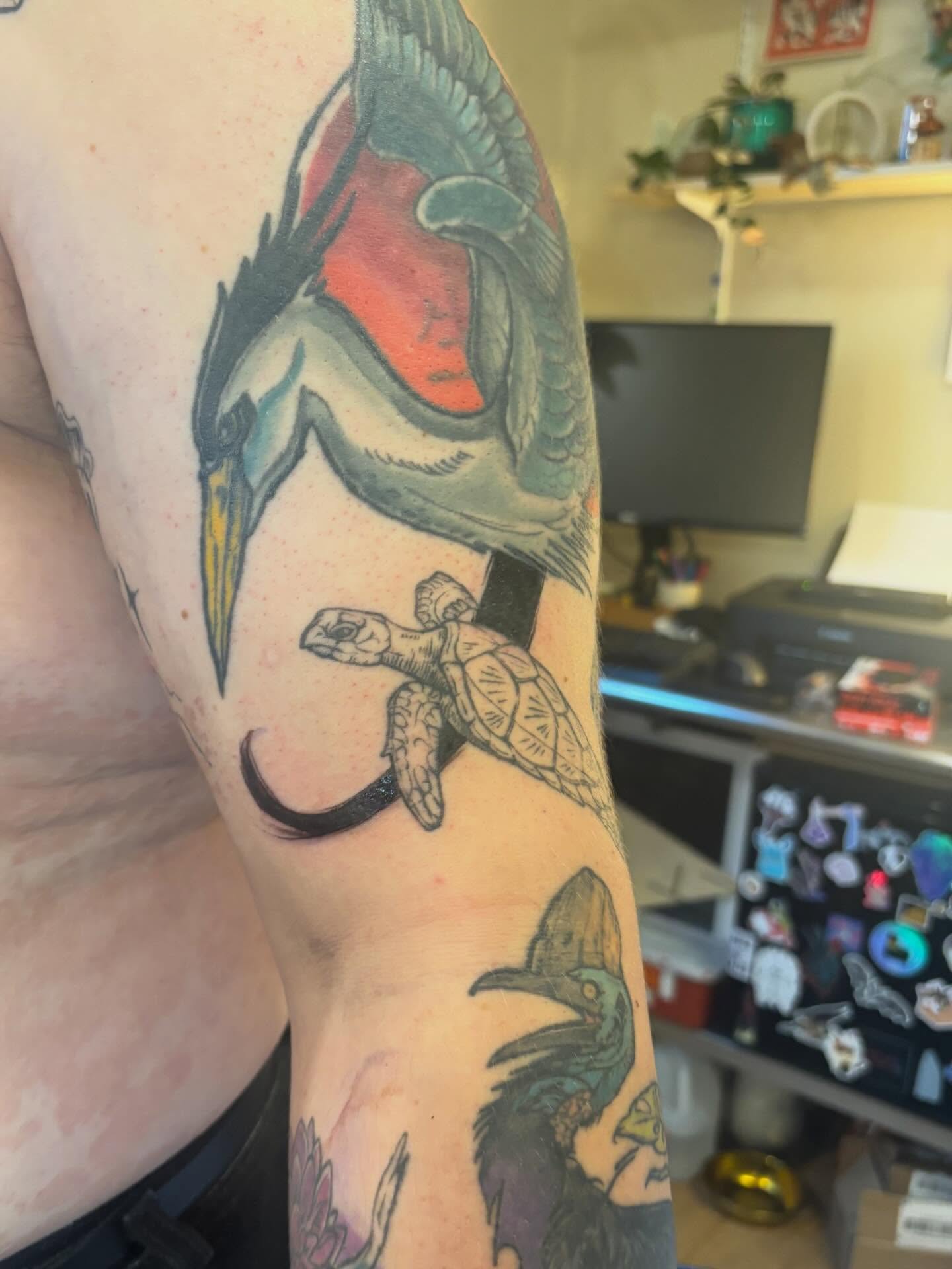 Bird and turtle American traditional tattoo on the forearm by Zoe Brookes