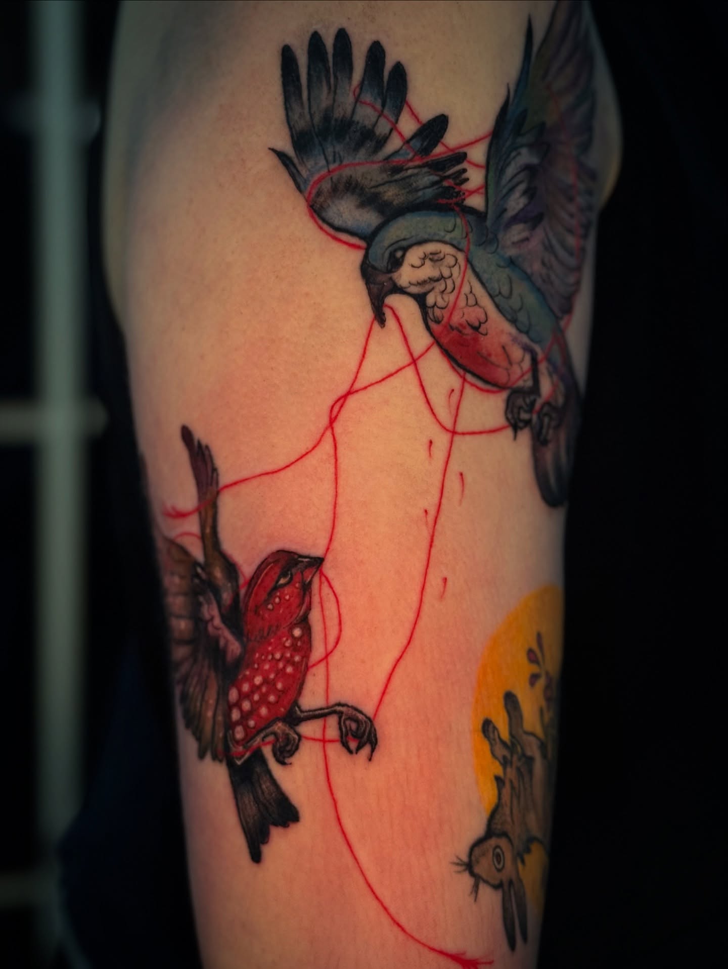 Birds and squirrel American traditional tattoo on the forearm by 𝙹𝙰𝚉𝚉 𝙲𝙷𝙰𝙾